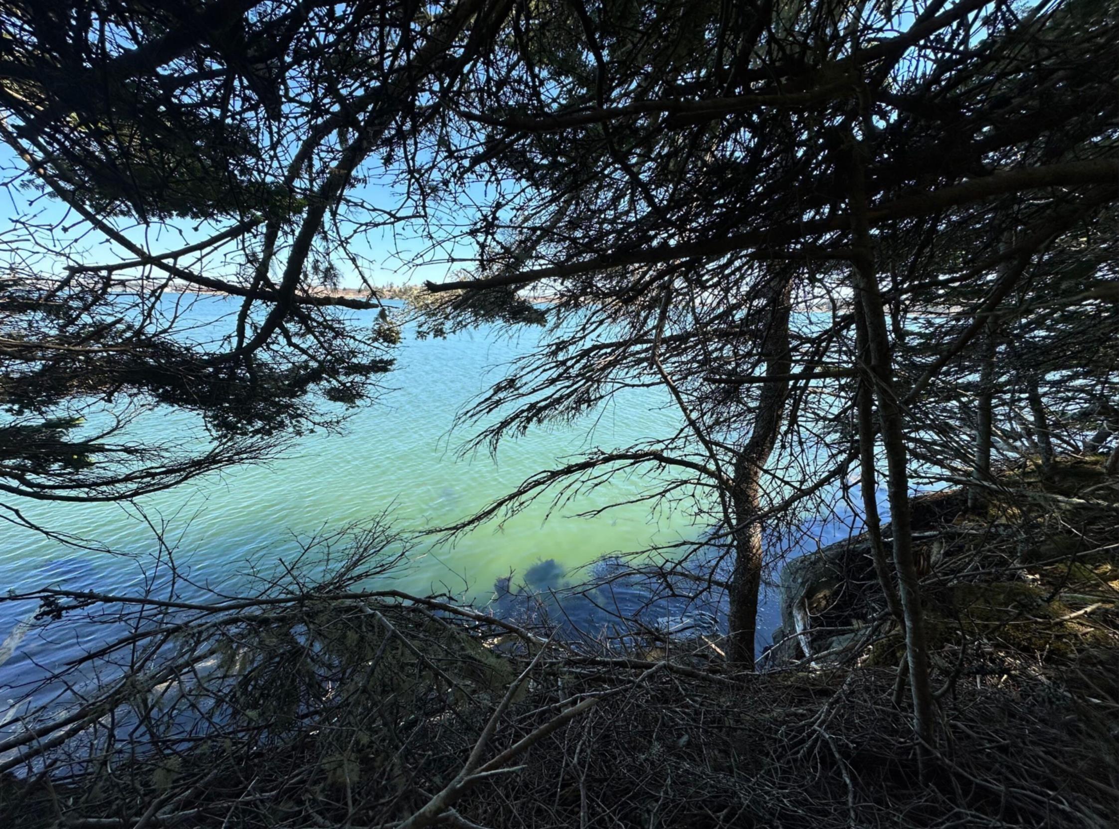 $325,000.00: 1415 Highway 304, Cape Forchu