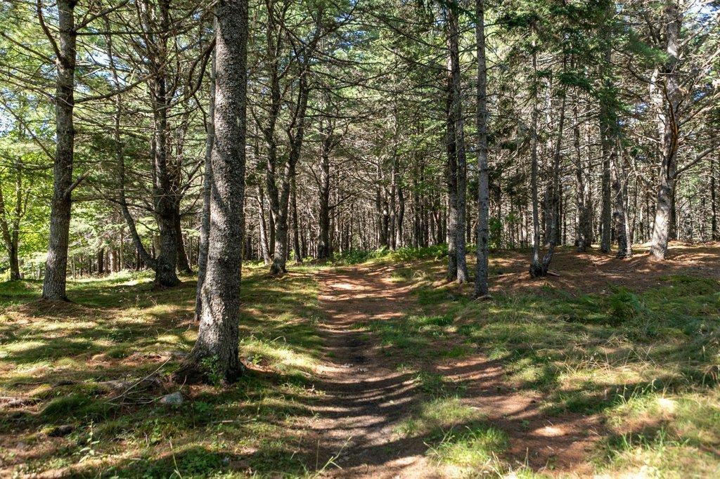 $3,975,000.00: 226 Crandall Road, Martins Point