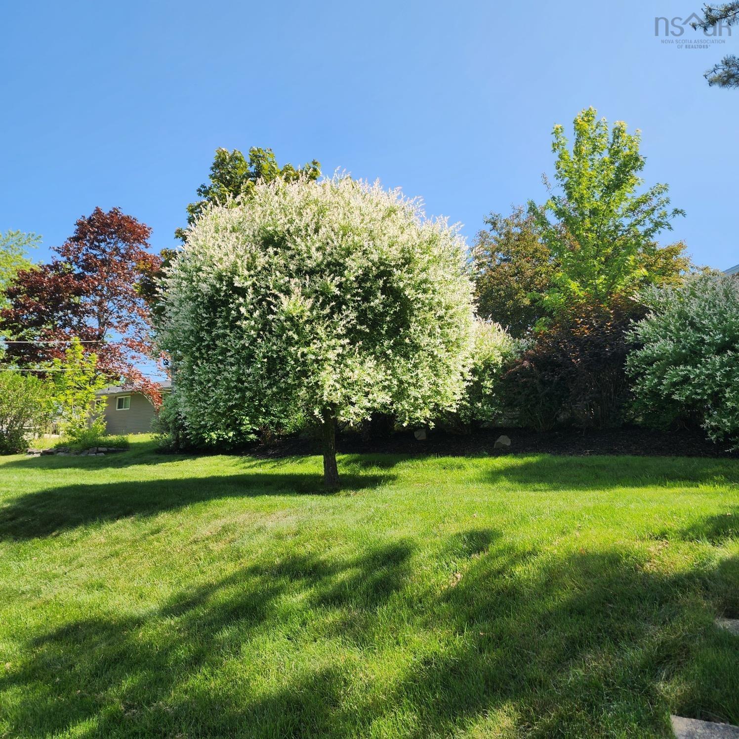 55 Oakmount Drive, Bedford, NS (MLS 202529033)