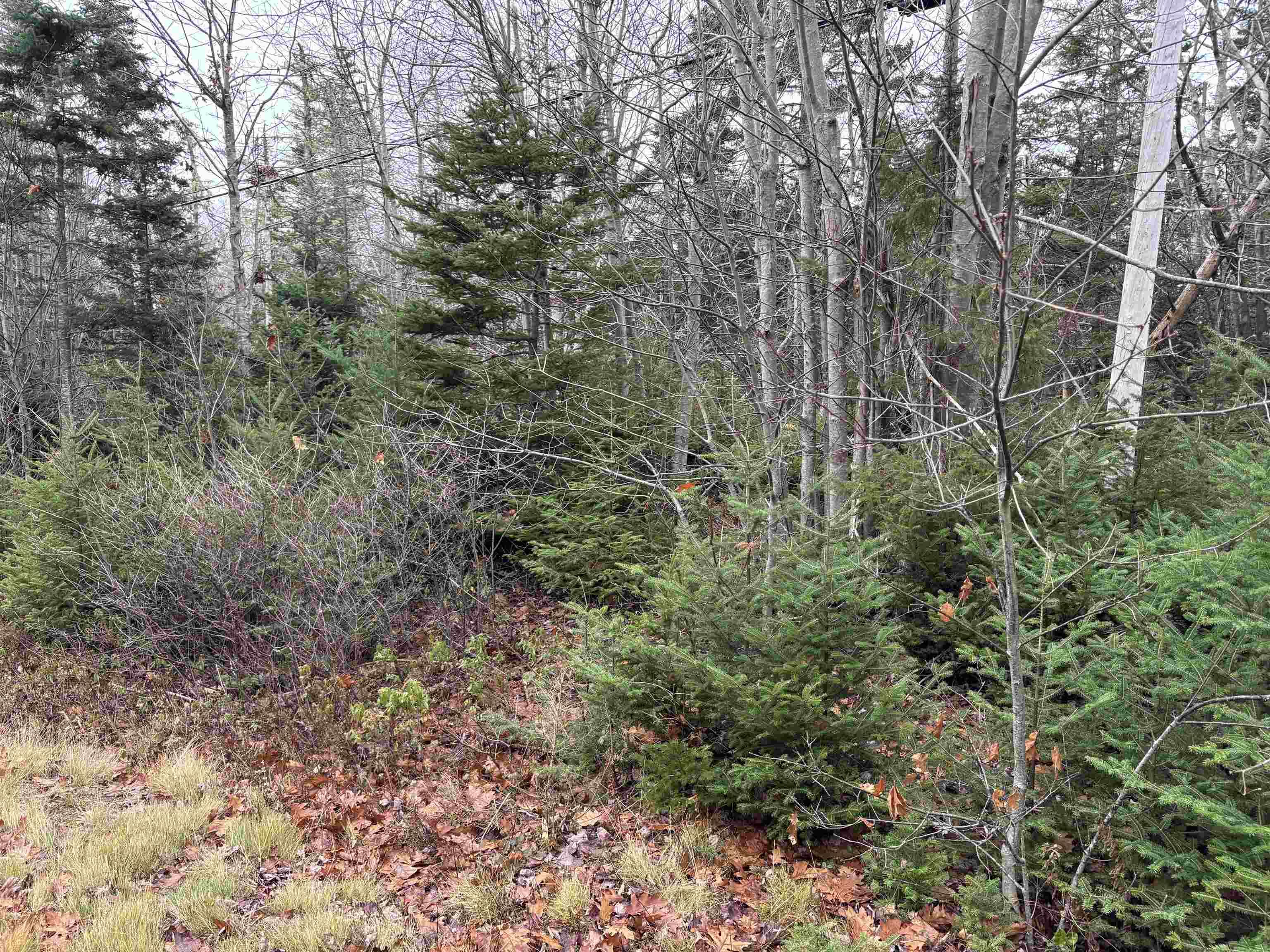 $95,000.00: Lot 1 Shore Road, Port Saxon