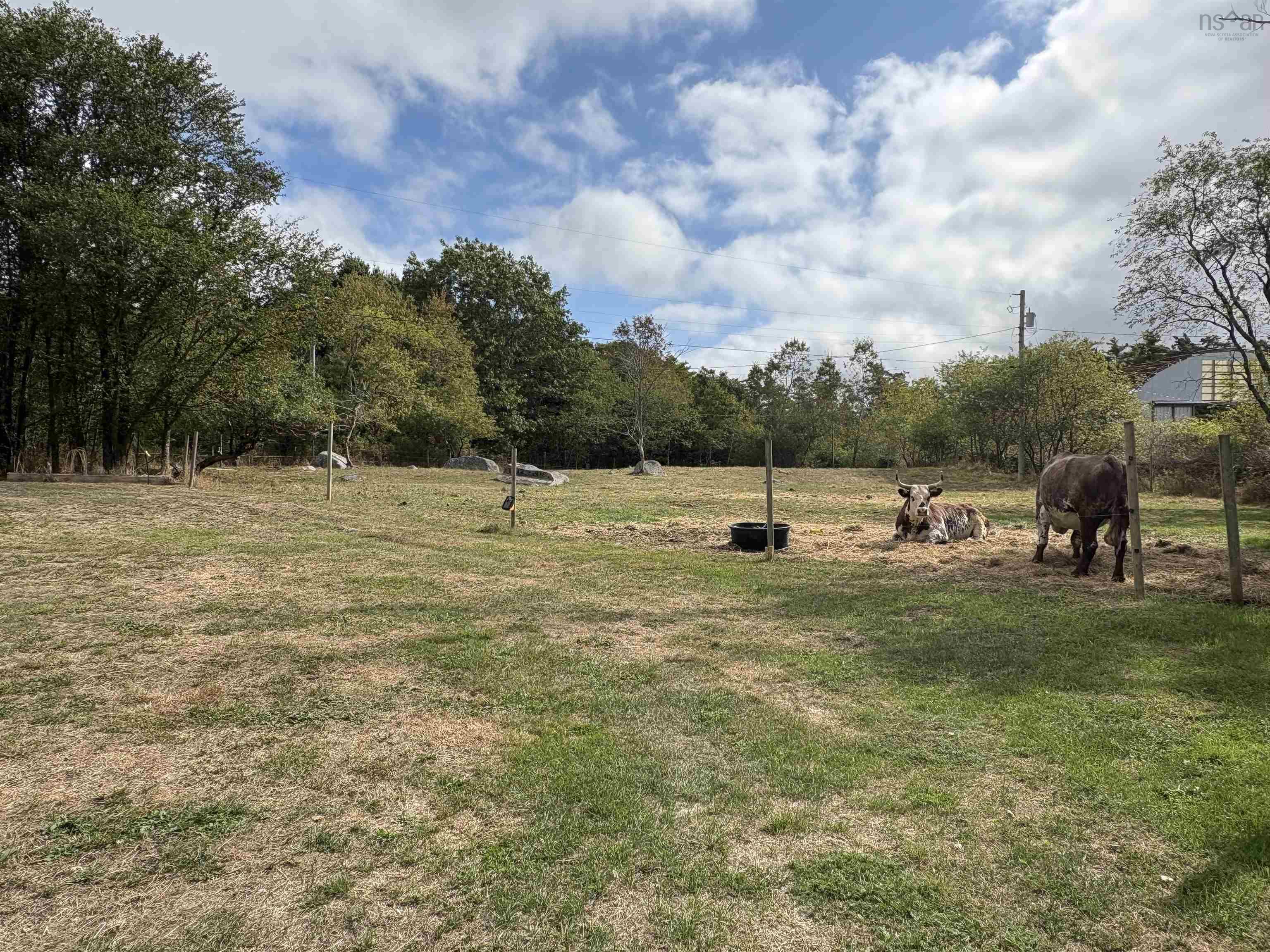 $294,000.00: 9431 upper clyde Road, Welshtown