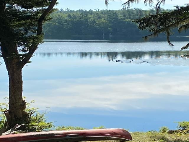 $99,500.00: 0 Lake Mulgrave, Victory