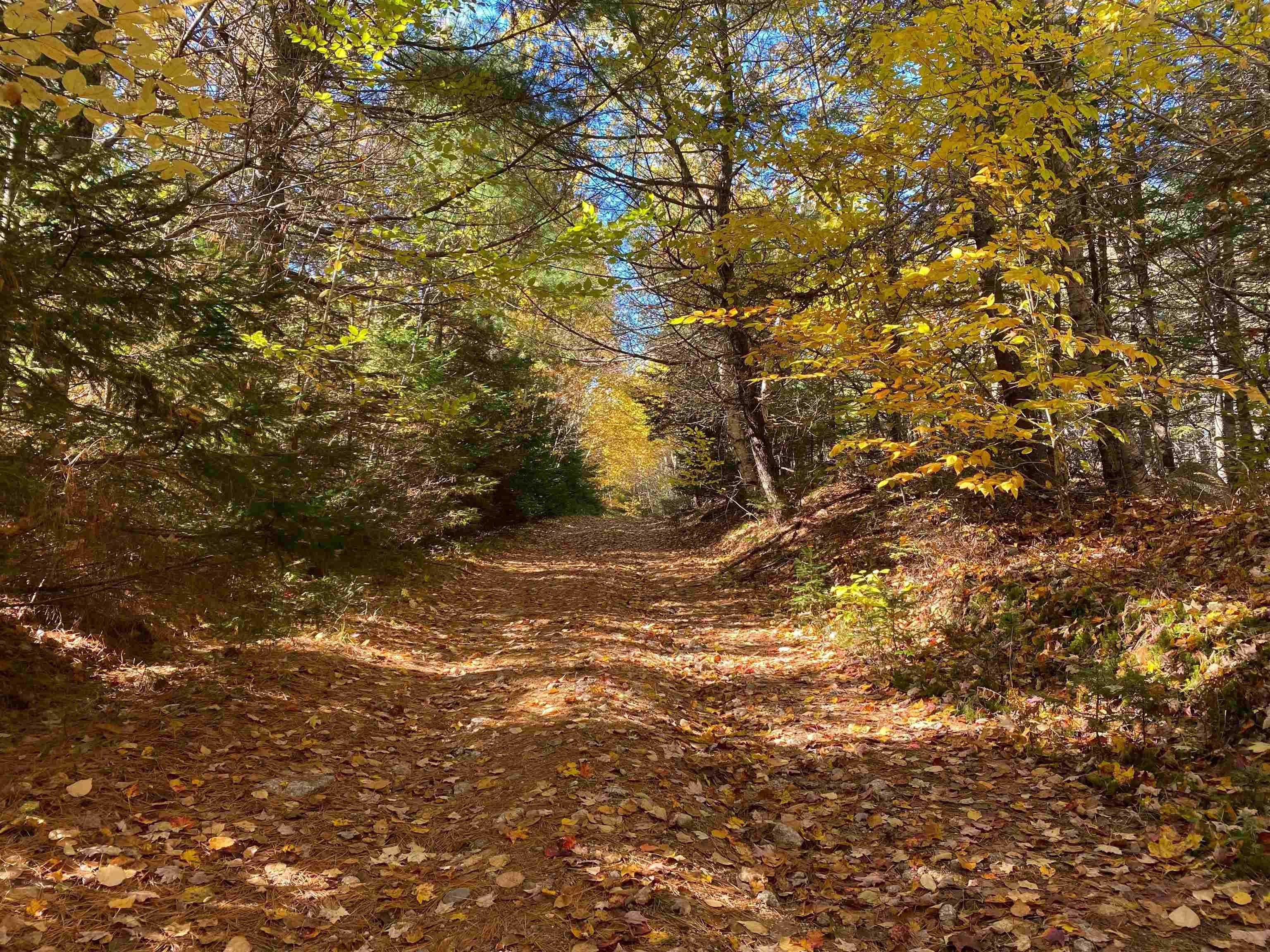 $99,500.00: 0 Lake Mulgrave, Victory