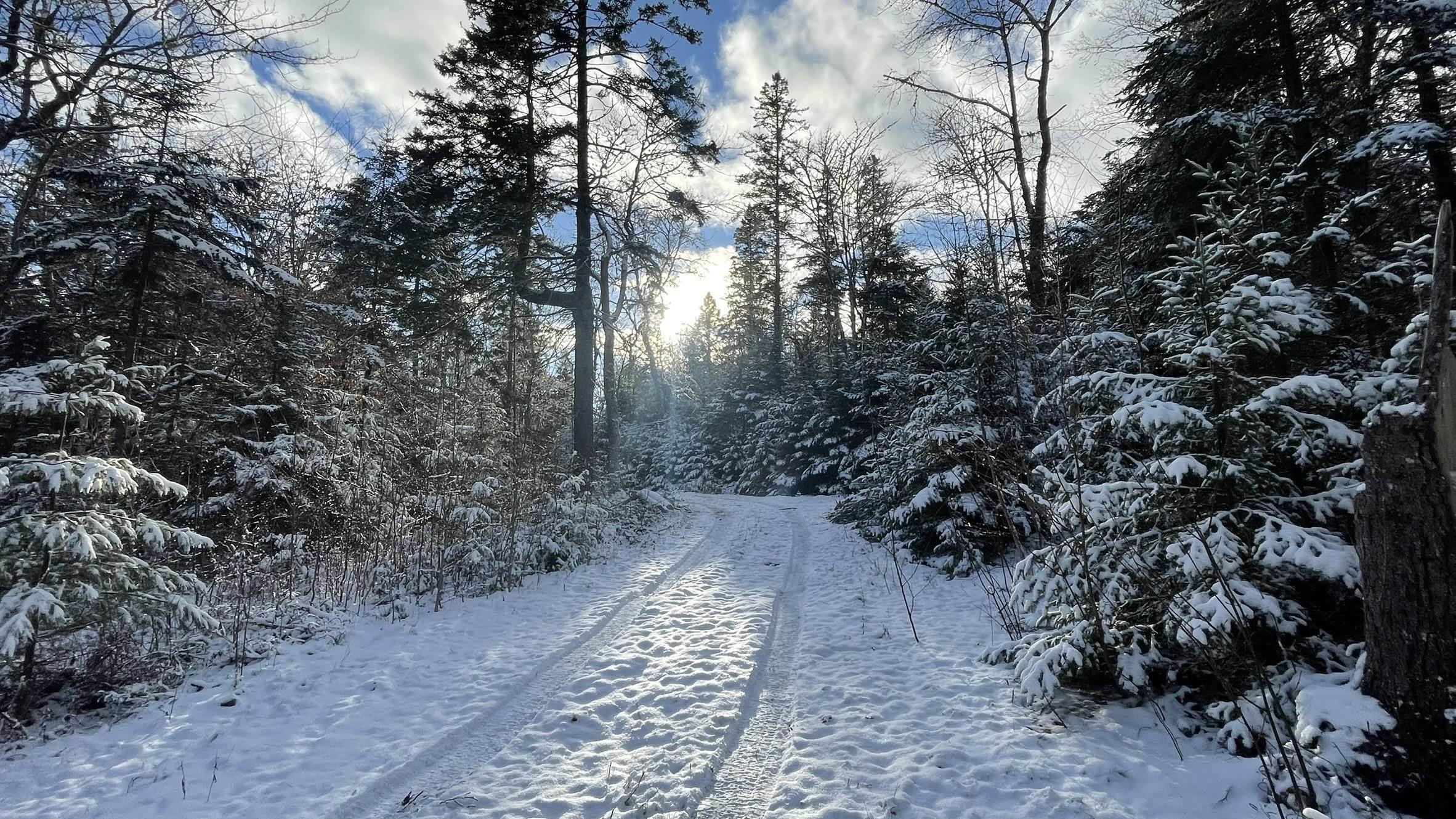 $99,500.00: 0 Lake Mulgrave, Victory