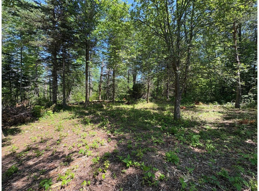 $27,500.00: 6908 Highway 12, Aldersville