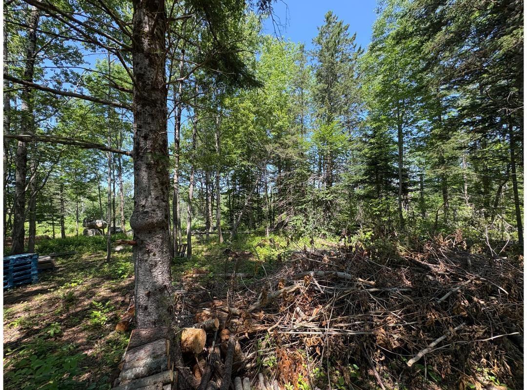 $27,500.00: 6908 Highway 12, Aldersville