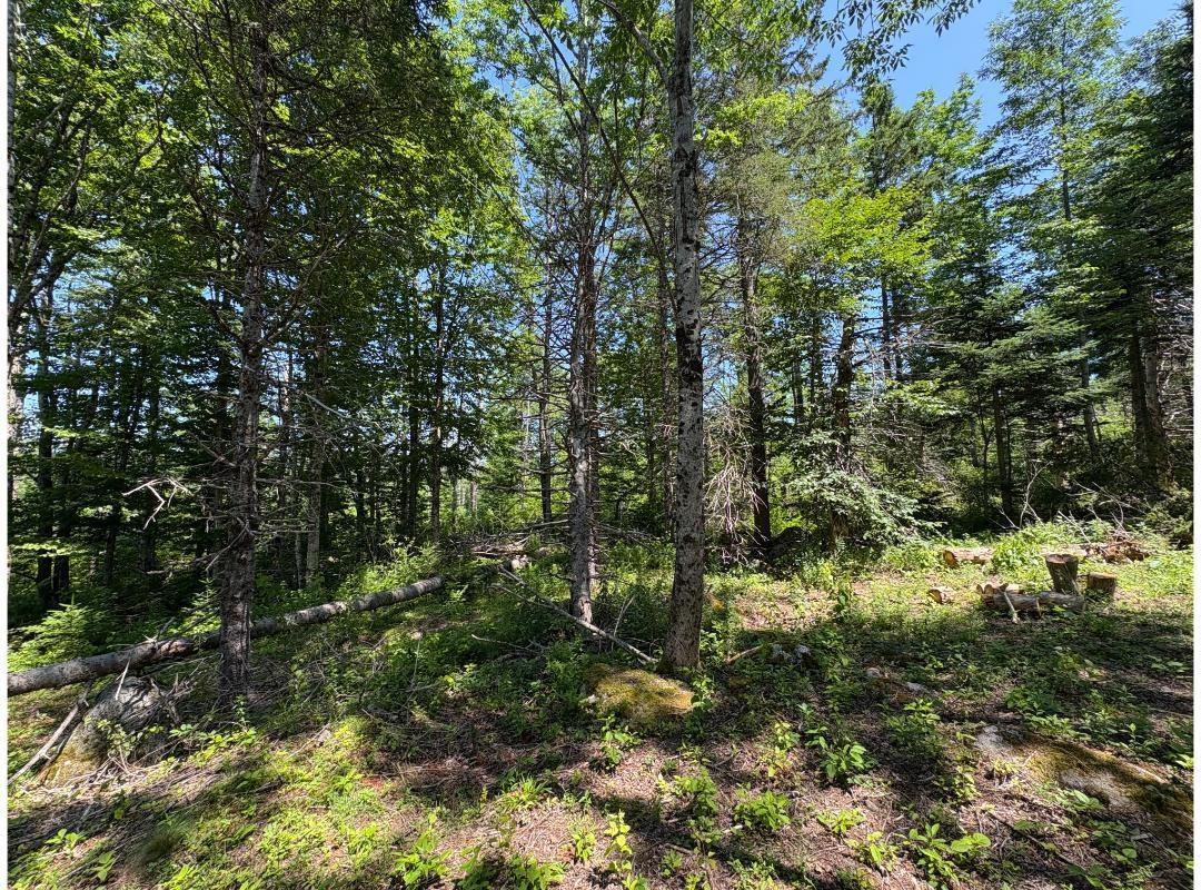 $27,500.00: 6908 Highway 12, Aldersville