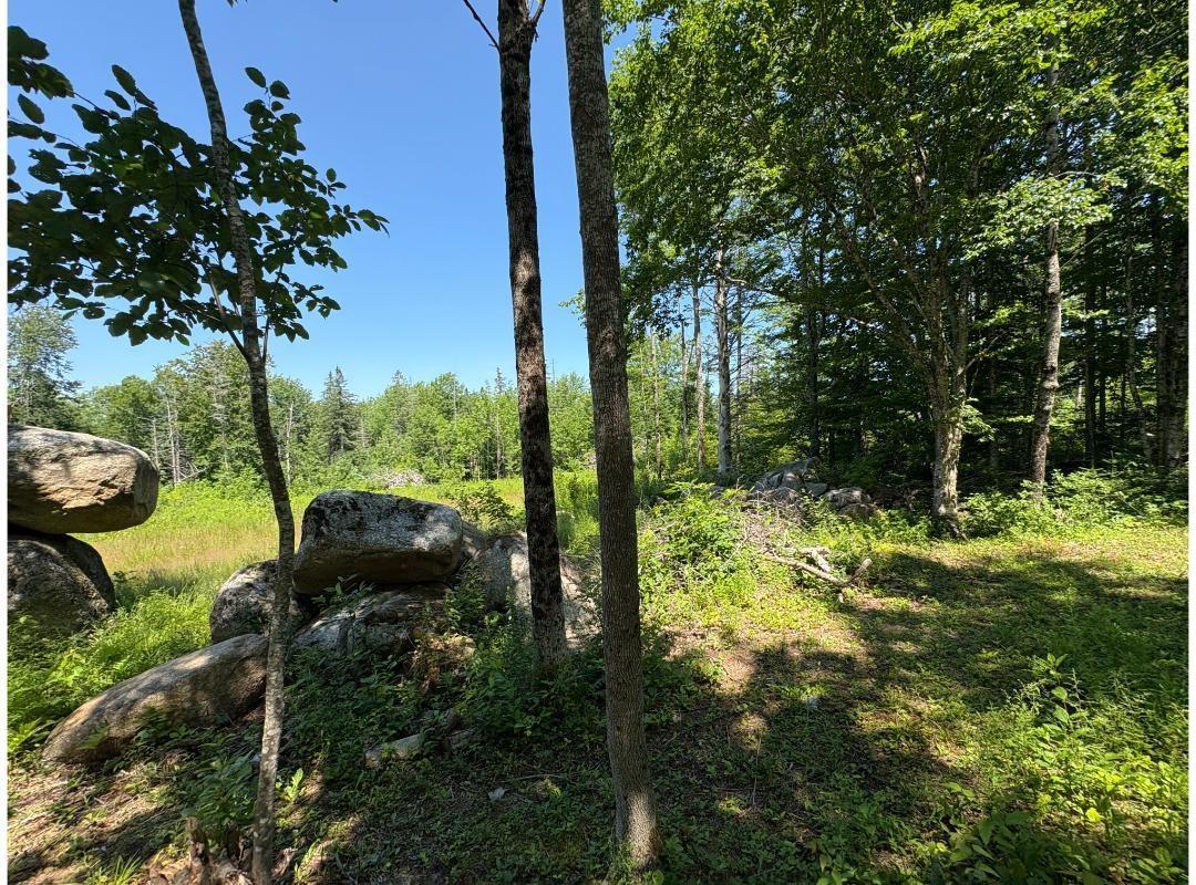 $27,500.00: 6908 Highway 12, Aldersville