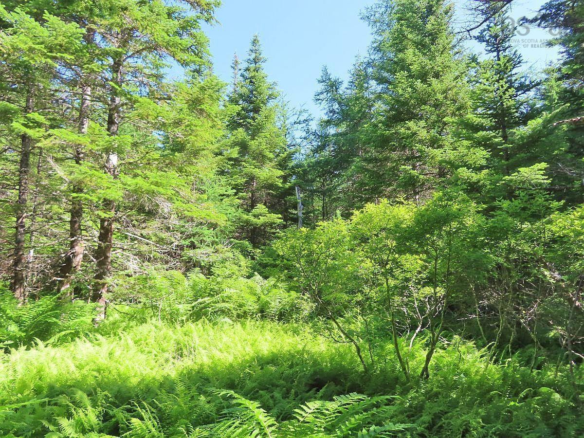 $375,000.00: 118 Acres Loch Lomond Road, Big Pond