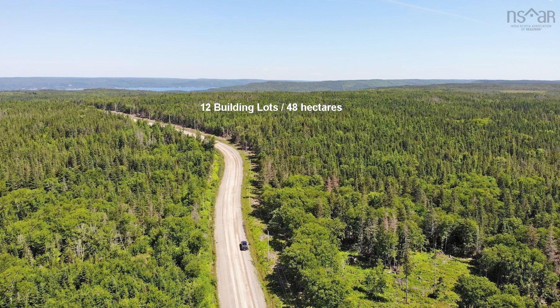 $375,000.00: 118 Acres Loch Lomond Road, Big Pond