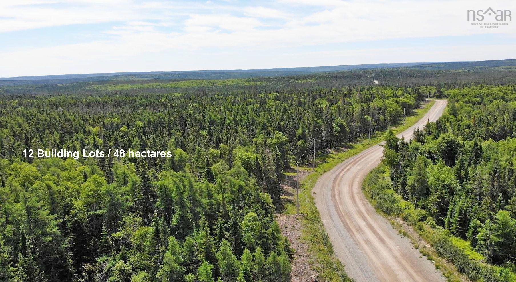 $375,000.00: 118 Acres Loch Lomond Road, Big Pond