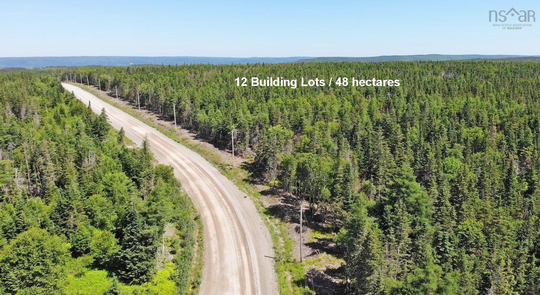 $375,000.00: 118 Acres Loch Lomond Road, Big Pond