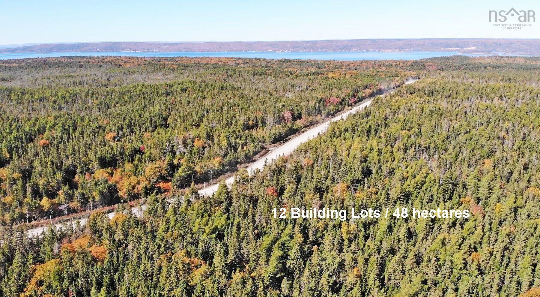 $375,000.00: 118 Acres Loch Lomond Road, Big Pond