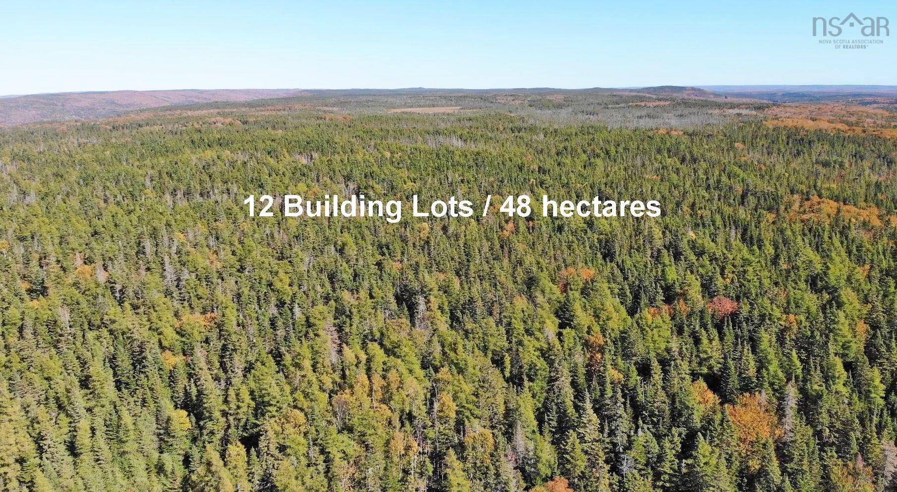 $375,000.00: 118 Acres Loch Lomond Road, Big Pond