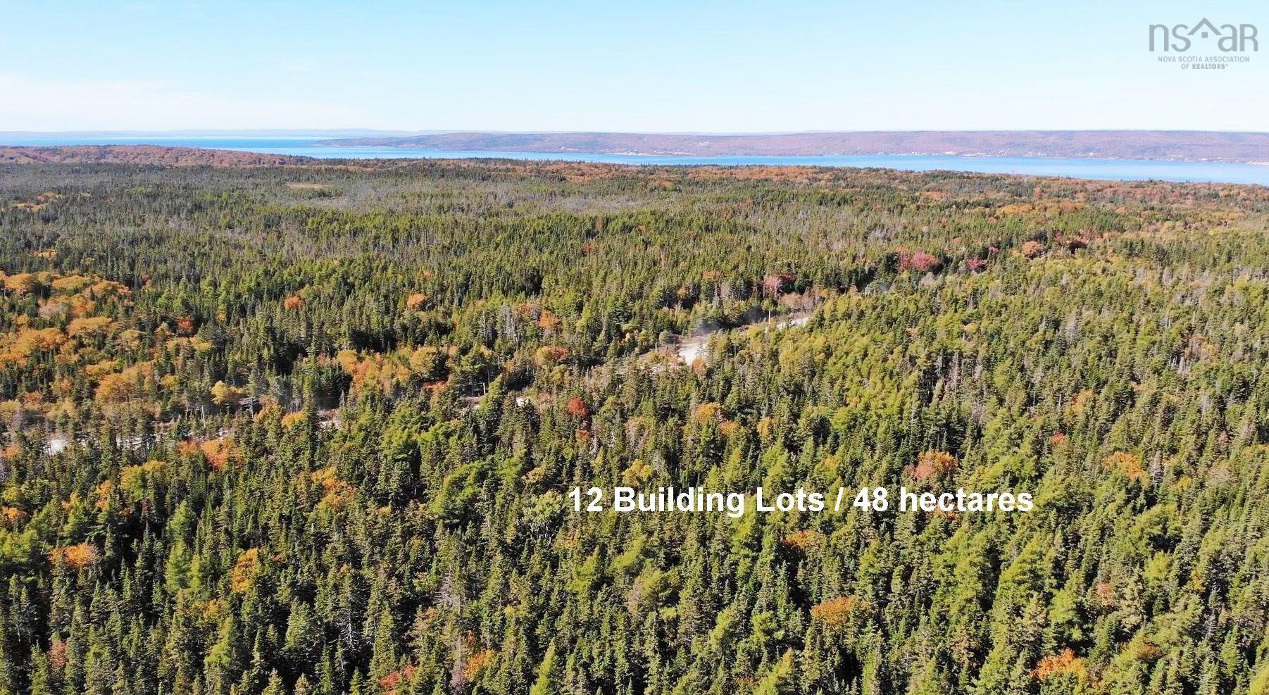 $375,000.00: 118 Acres Loch Lomond Road, Big Pond
