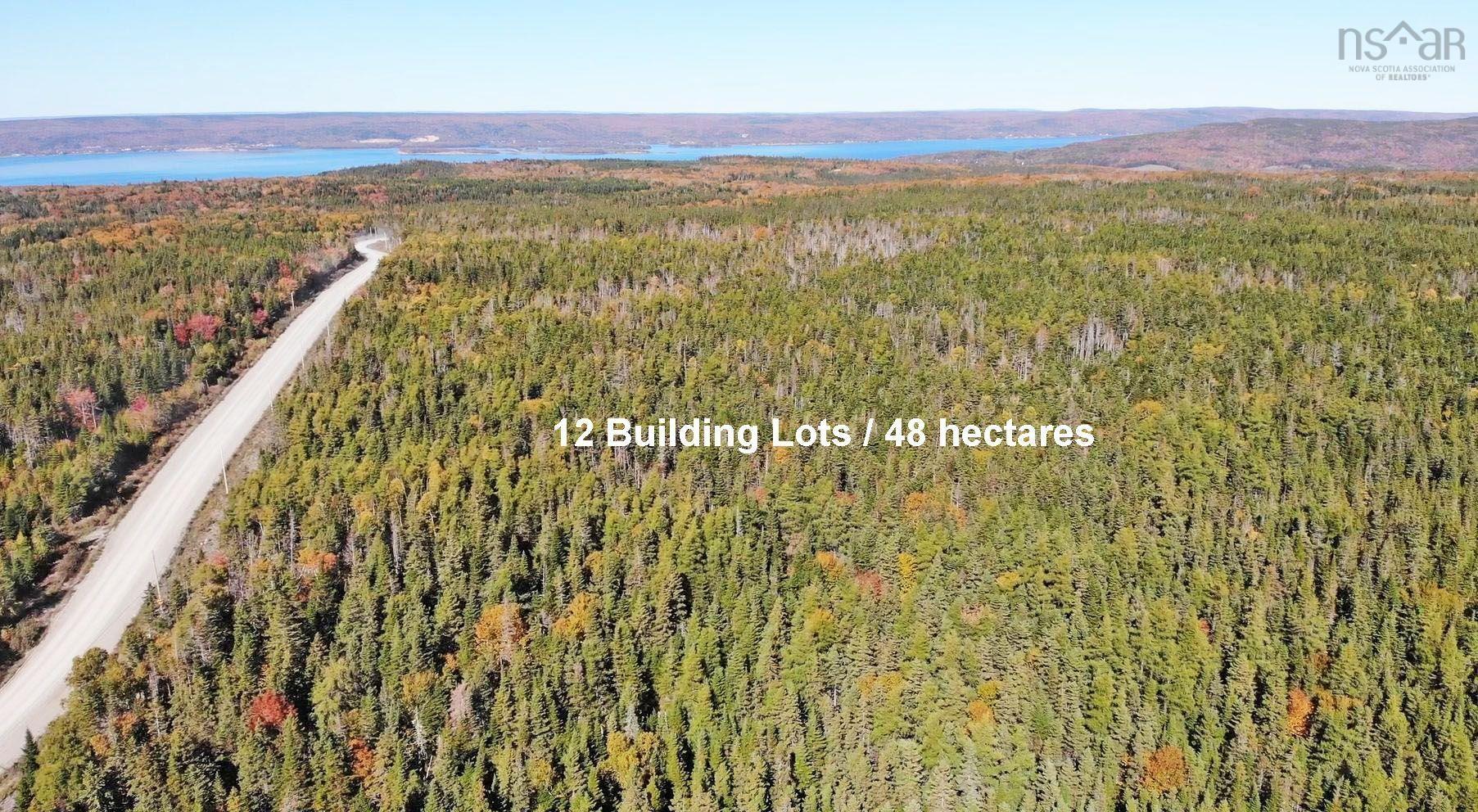 $375,000.00: 118 Acres Loch Lomond Road, Big Pond