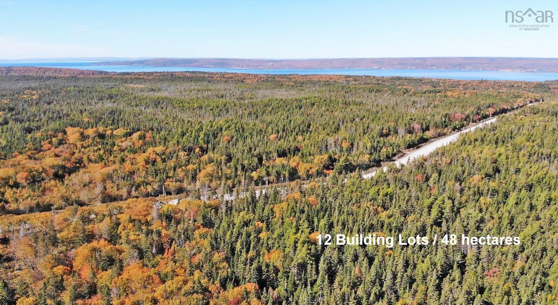 $375,000.00: 118 Acres Loch Lomond Road, Big Pond