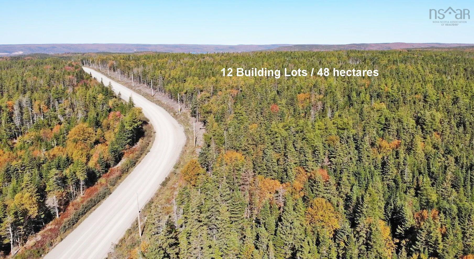 $375,000.00: 118 Acres Loch Lomond Road, Big Pond