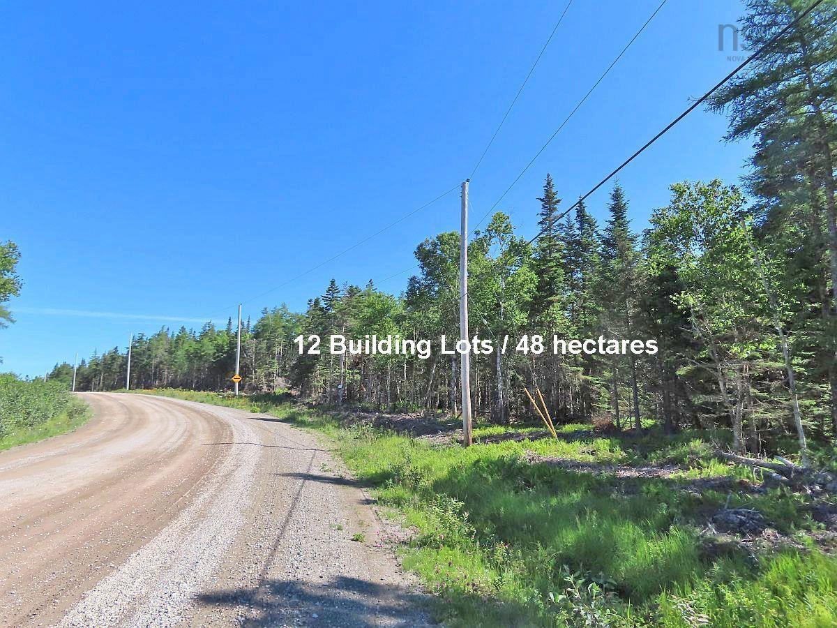 $375,000.00: 118 Acres Loch Lomond Road, Big Pond