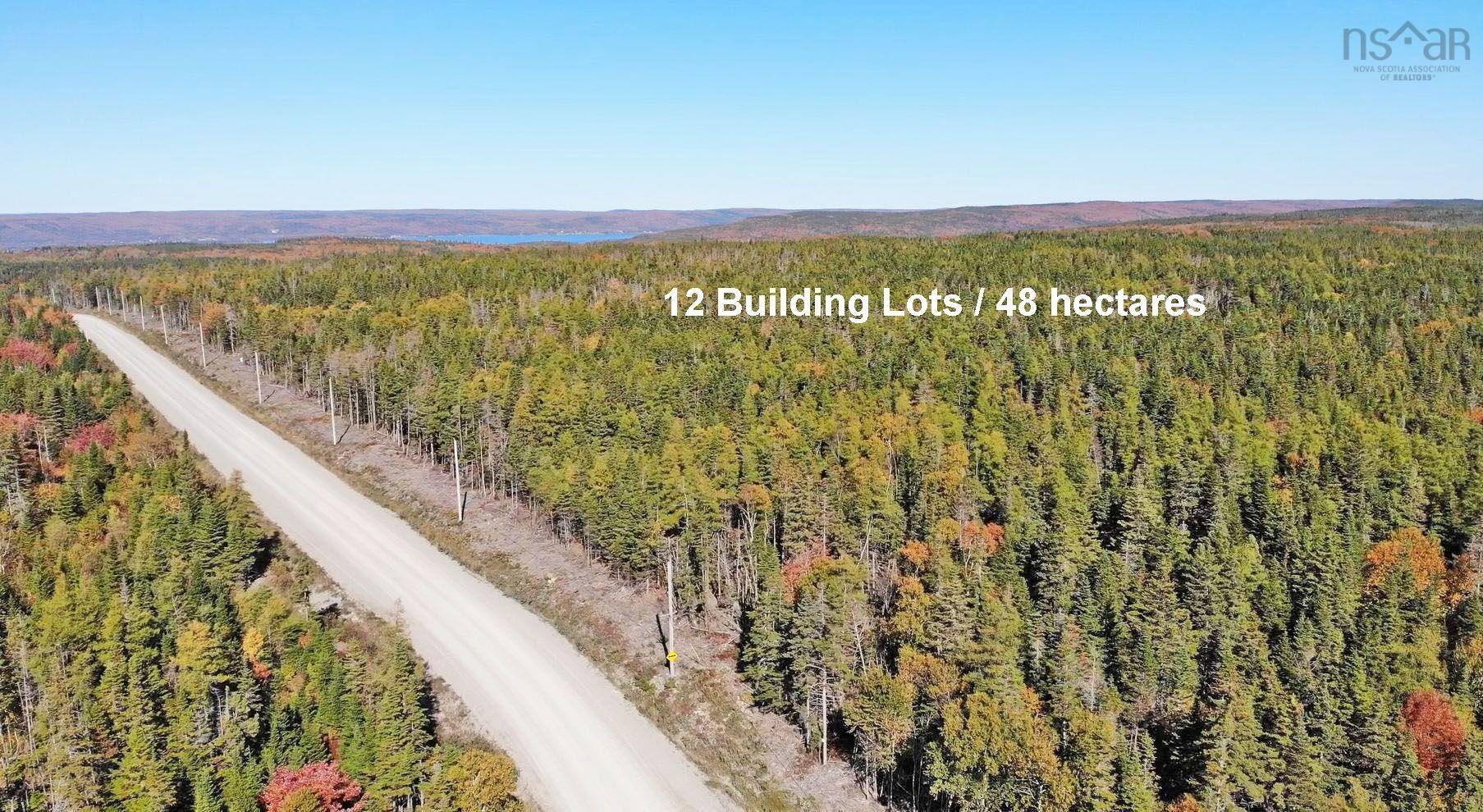 $375,000.00: 118 Acres Loch Lomond Road, Big Pond