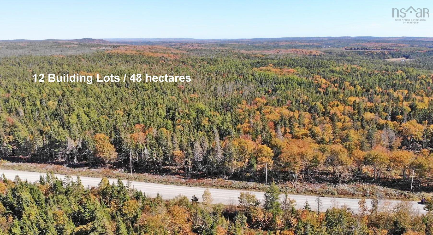 $375,000.00: 118 Acres Loch Lomond Road, Big Pond