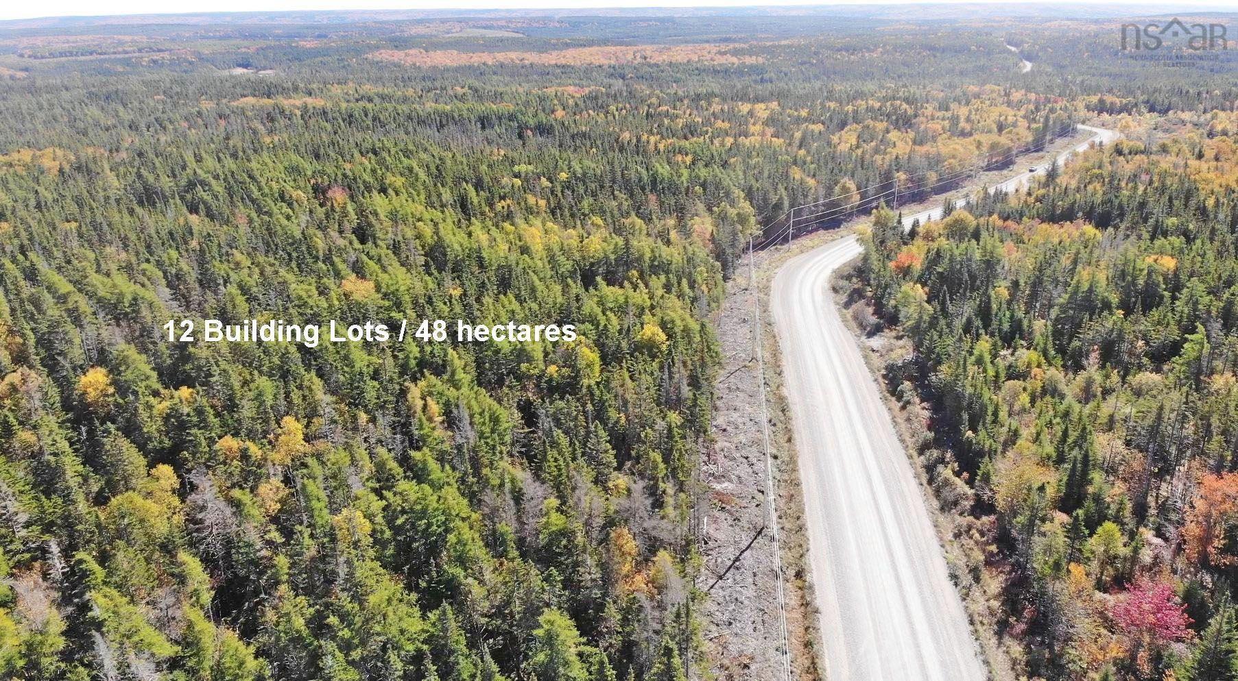 $375,000.00: 118 Acres Loch Lomond Road, Big Pond