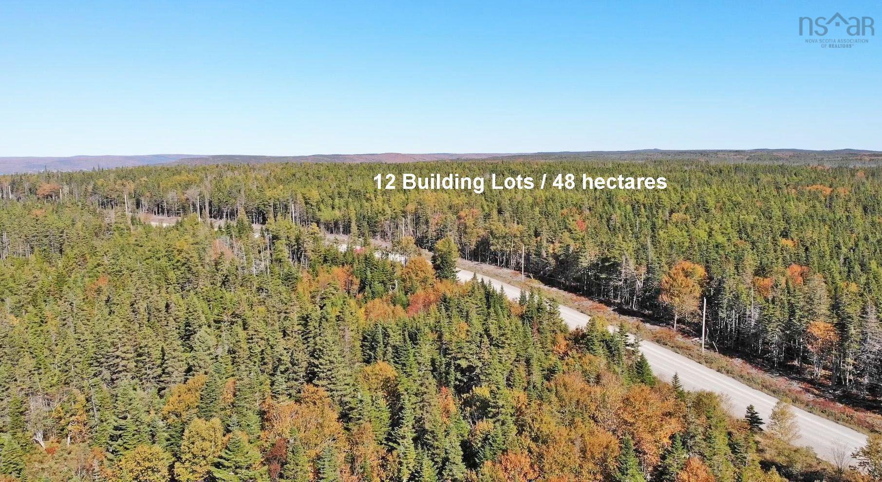 $375,000.00: 118 Acres Loch Lomond Road, Big Pond