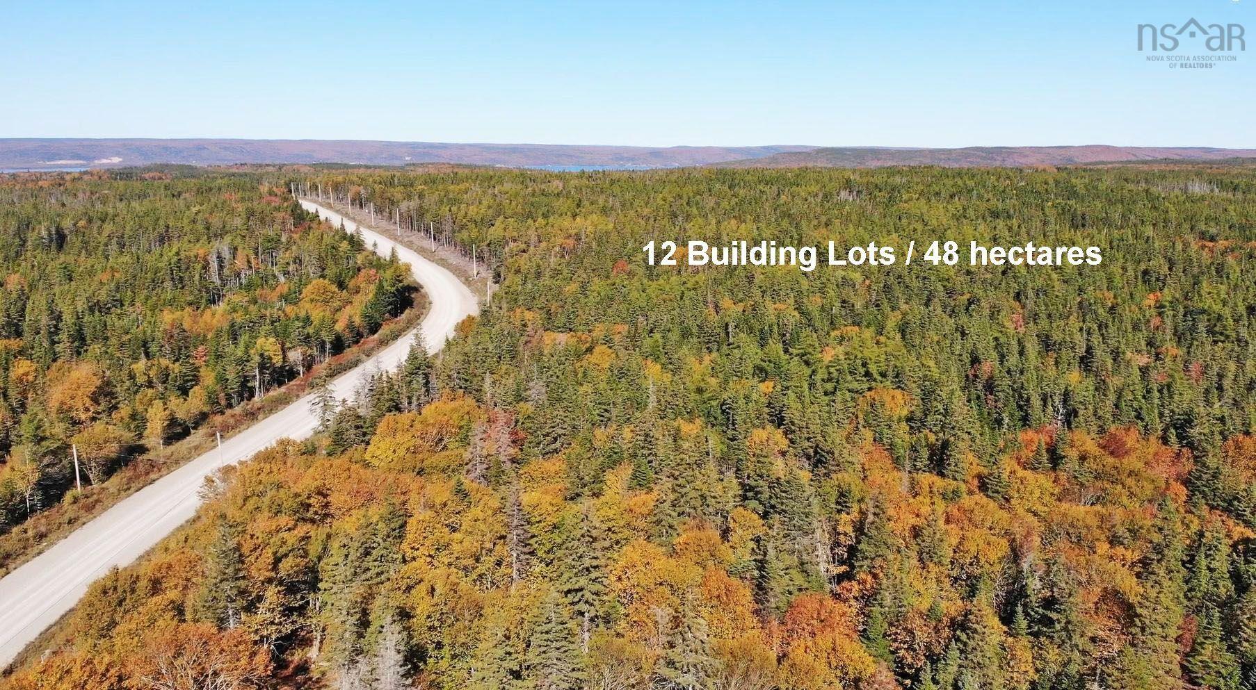 $375,000.00: 118 Acres Loch Lomond Road, Big Pond