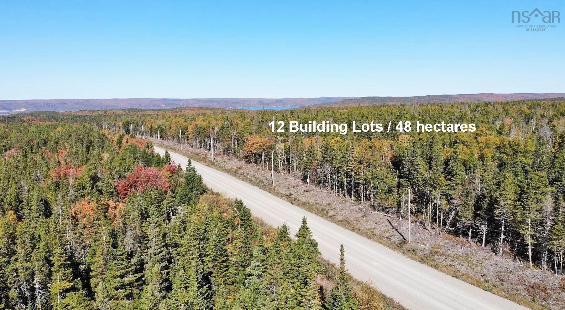 $375,000.00: 118 Acres Loch Lomond Road, Big Pond