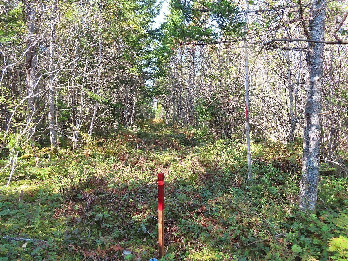 $375,000.00: 118 Acres Loch Lomond Road, Big Pond