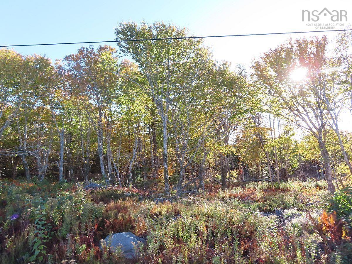 $375,000.00: 118 Acres Loch Lomond Road, Big Pond
