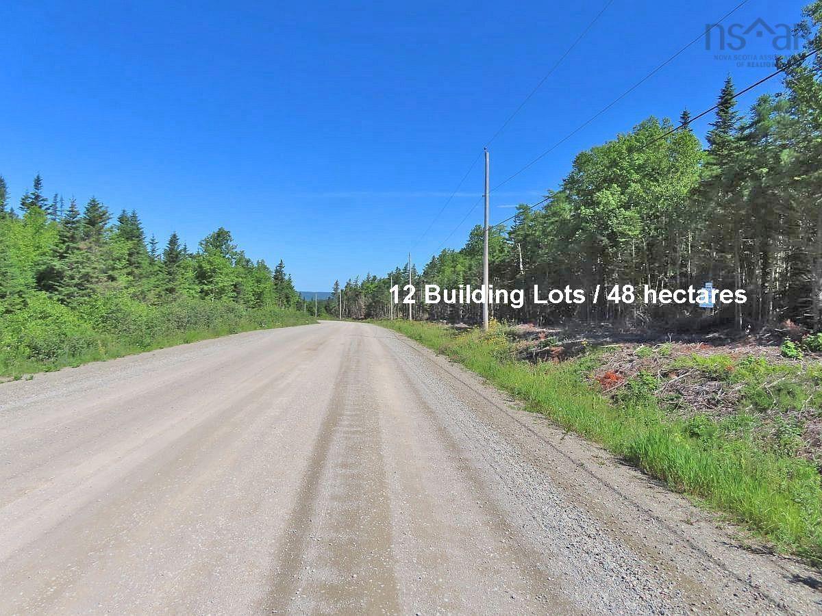 $375,000.00: 118 Acres Loch Lomond Road, Big Pond
