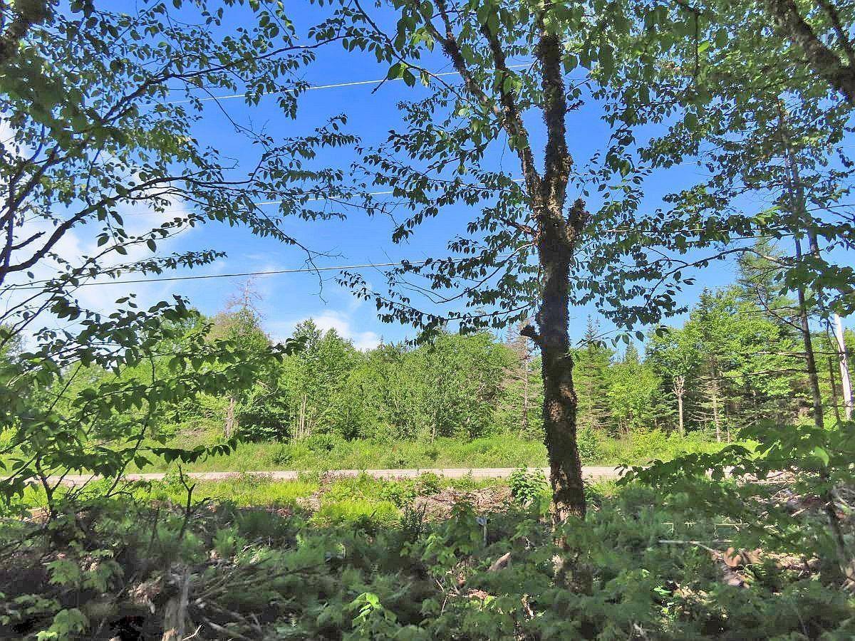 $375,000.00: 118 Acres Loch Lomond Road, Big Pond