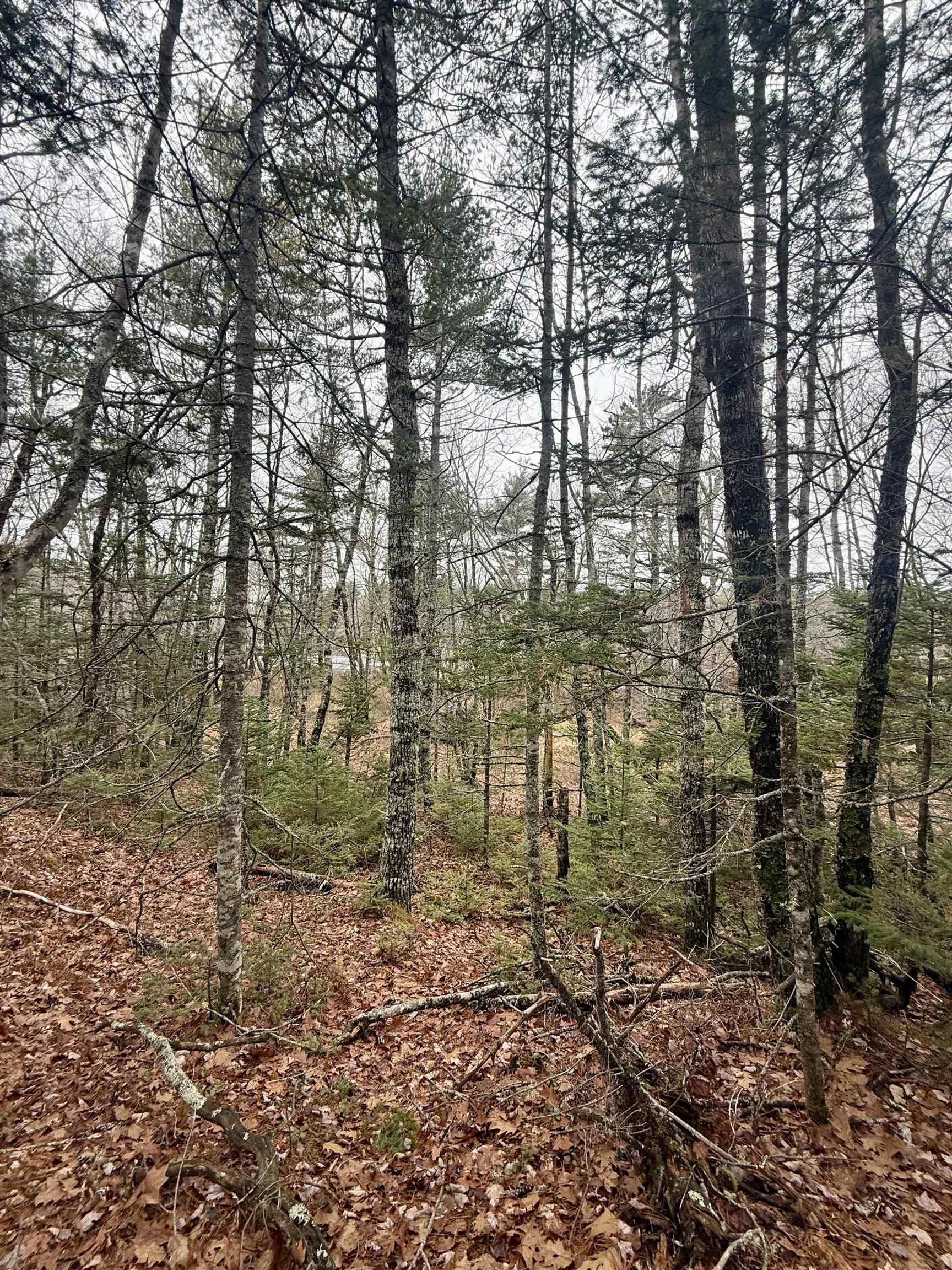 $114,000.00: Lot BR-5 Highway 203, Lower Ohio