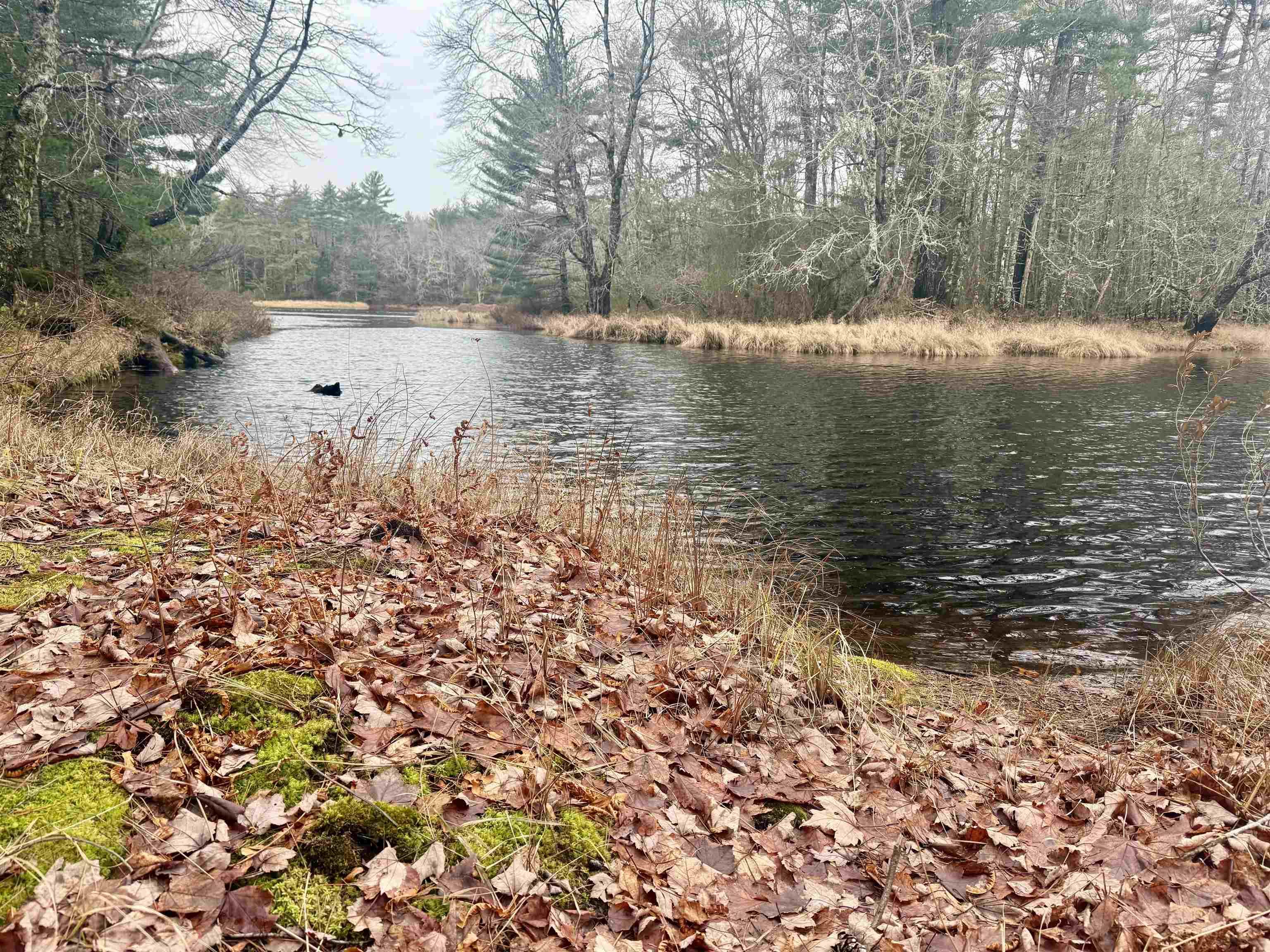 $114,000.00: Lot BR-5 Highway 203, Lower Ohio