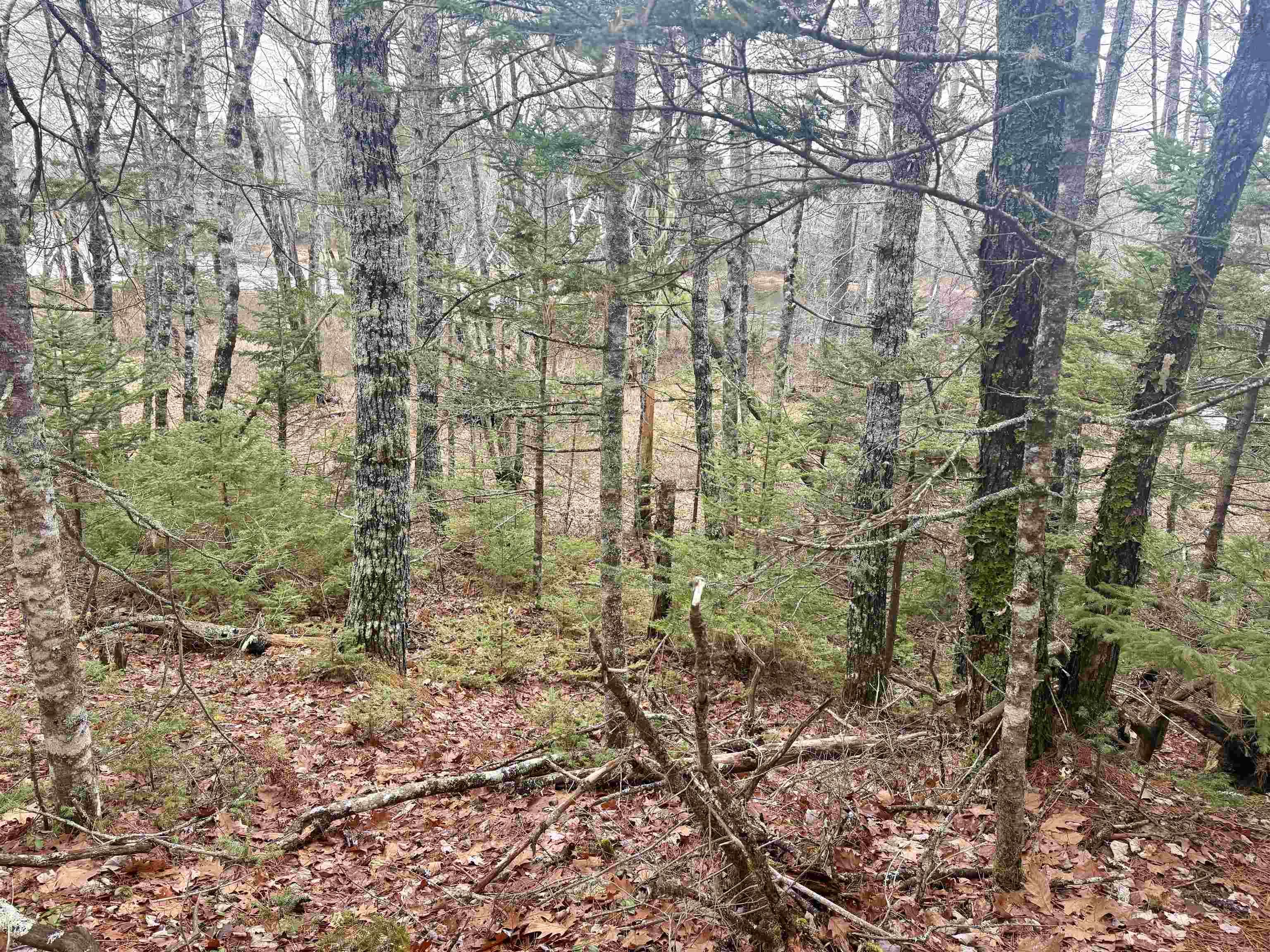 $114,000.00: Lot BR-5 Highway 203, Lower Ohio