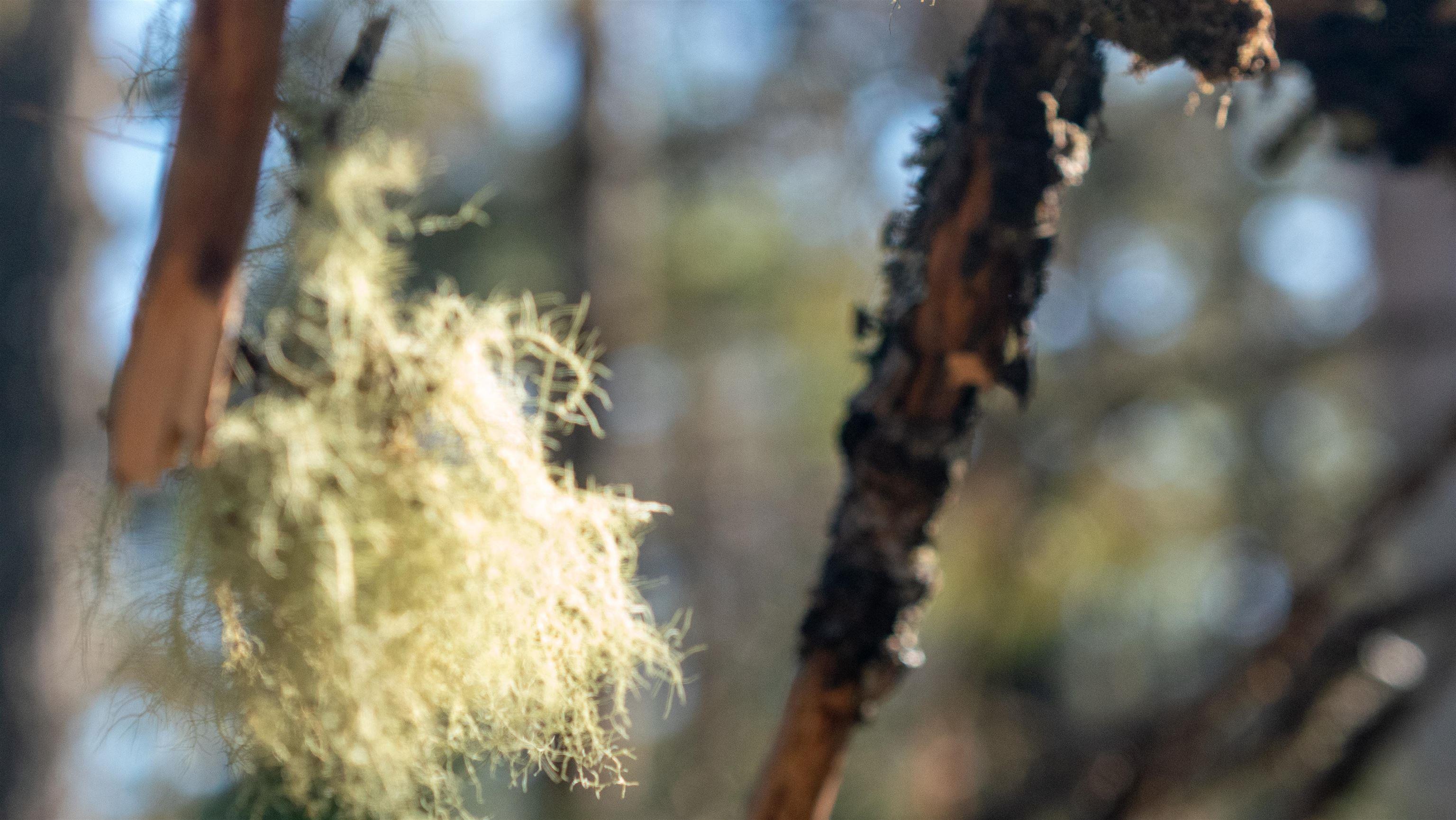 $38,500.00: LOT BR-1 Bowers Road, Lower Ohio