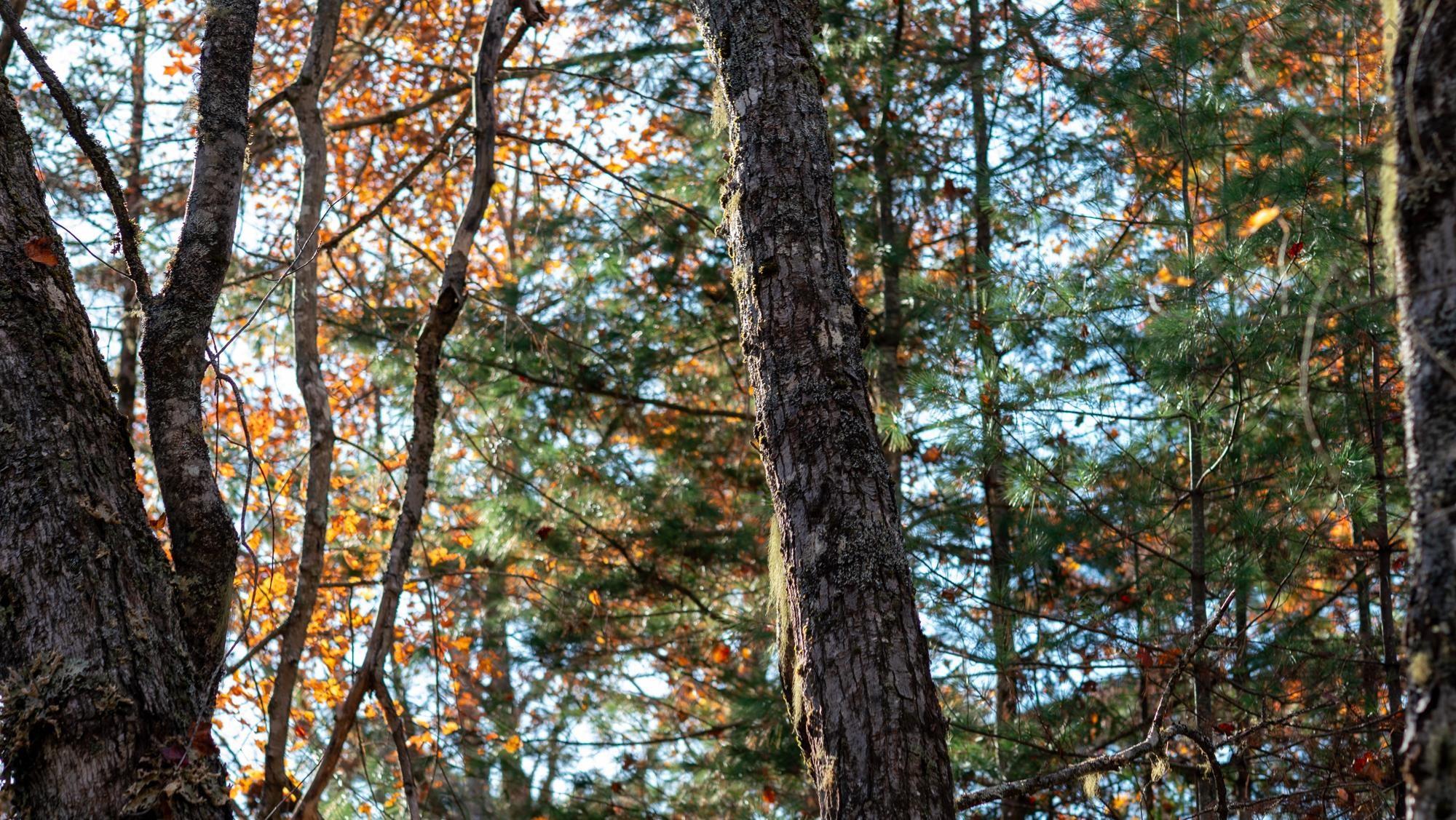 $38,500.00: LOT BR-1 Bowers Road, Lower Ohio