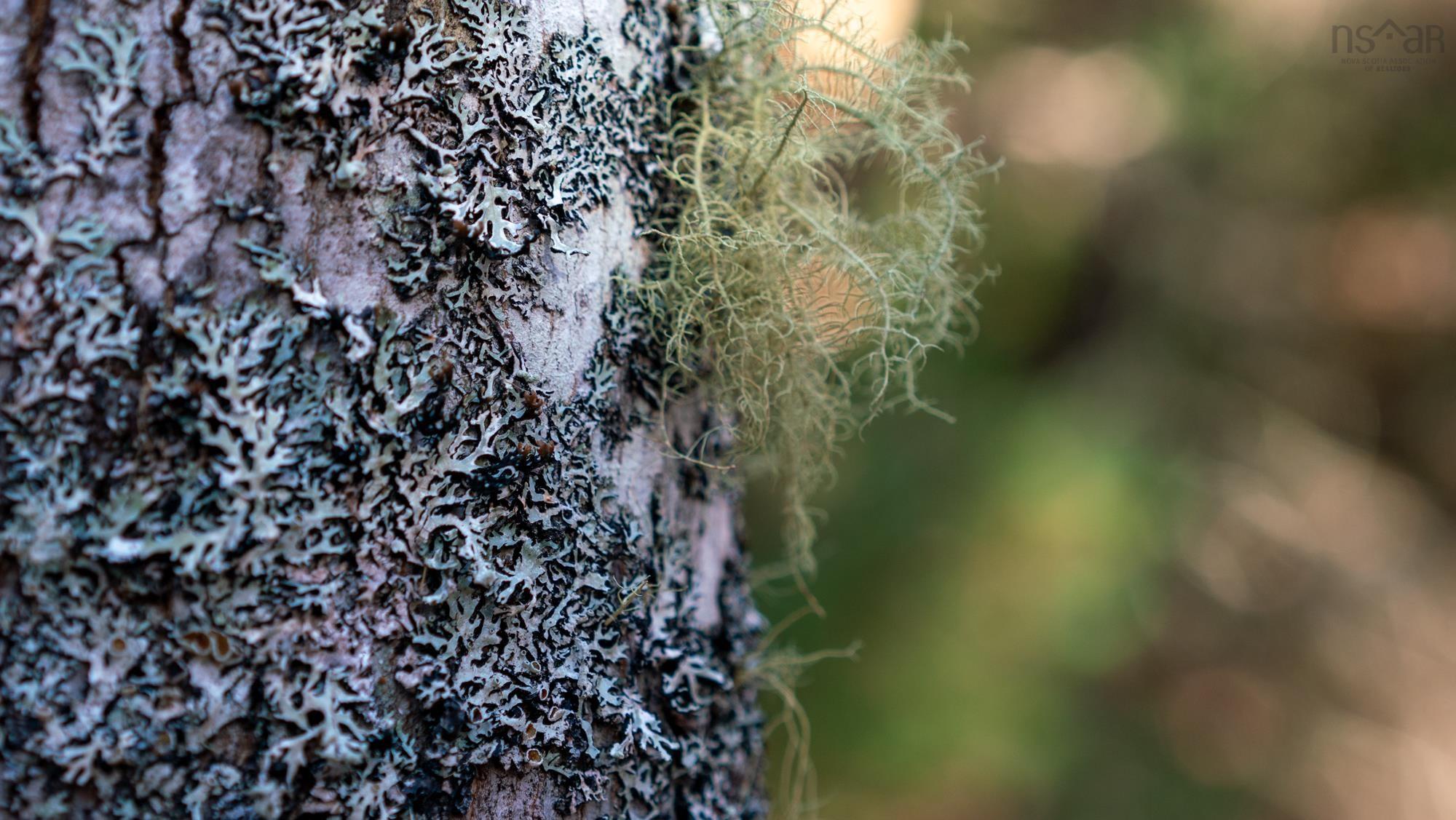 $38,500.00: LOT BR-1 Bowers Road, Lower Ohio