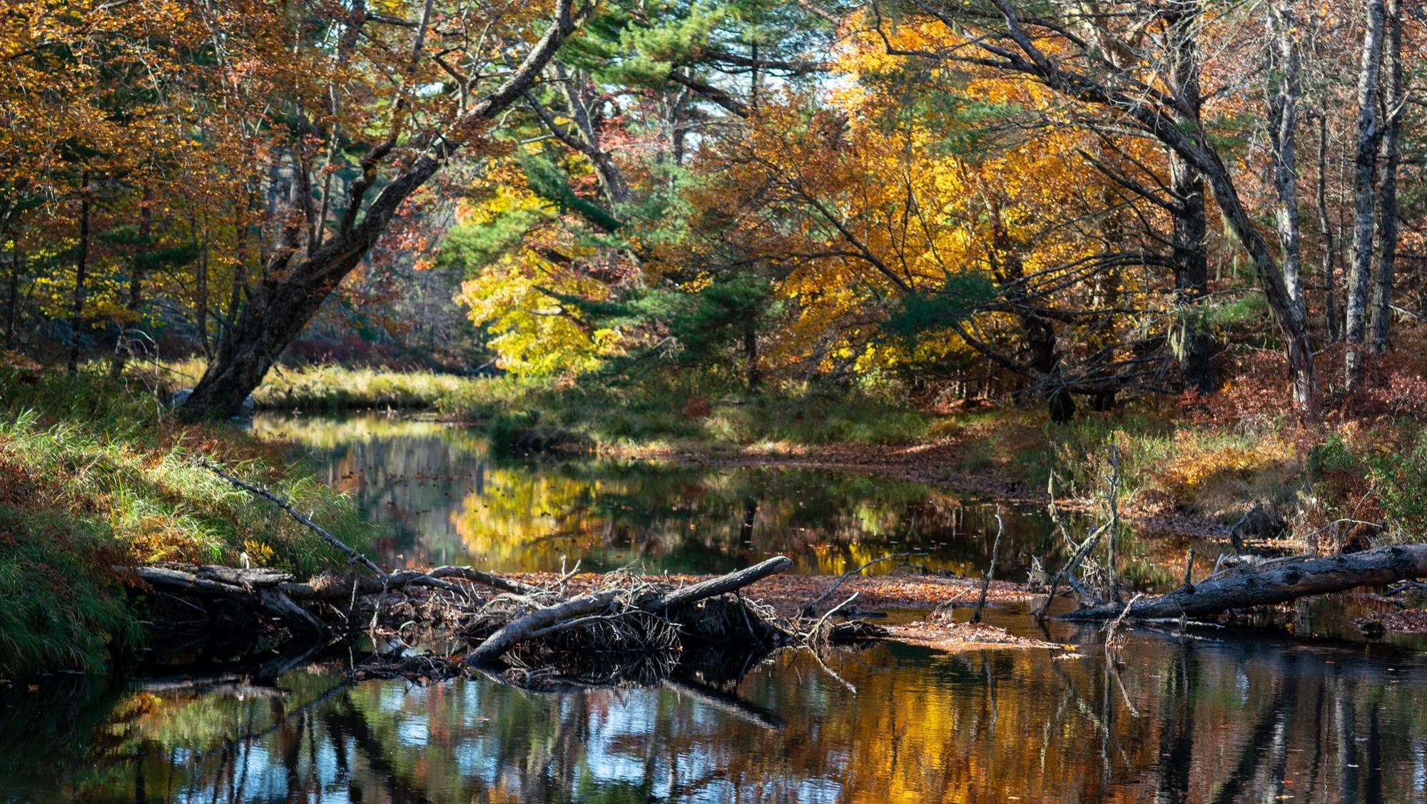 $79,000.00: Lot BR-3 Bowers Road, Lower Ohio