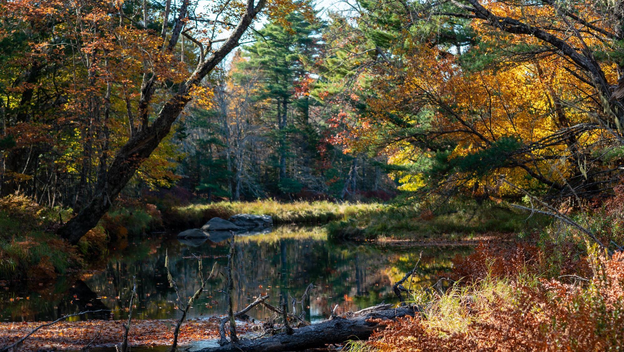 $79,000.00: Lot BR-3 Bowers Road, Lower Ohio