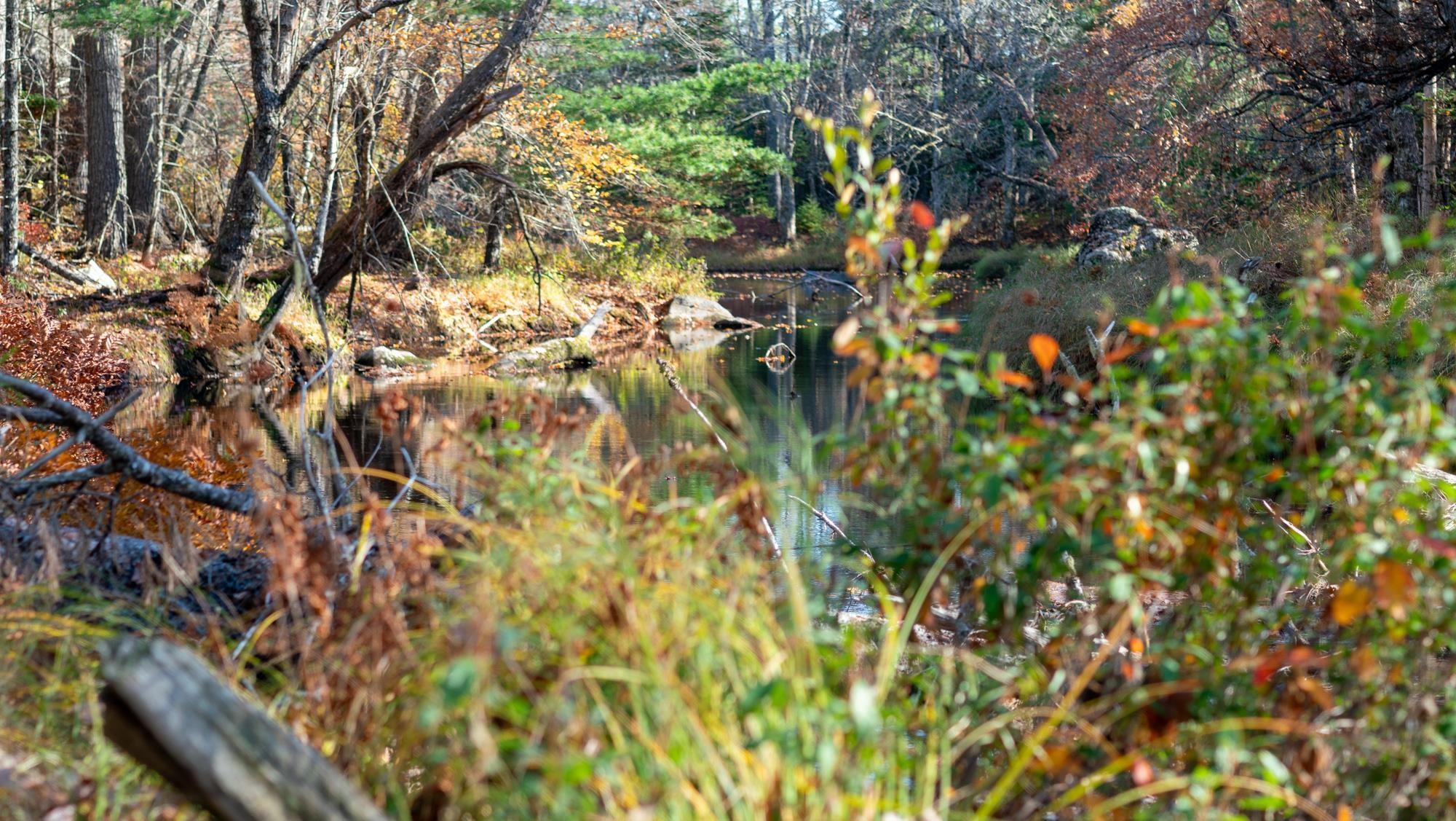 $79,000.00: Lot BR-3 Bowers Road, Lower Ohio