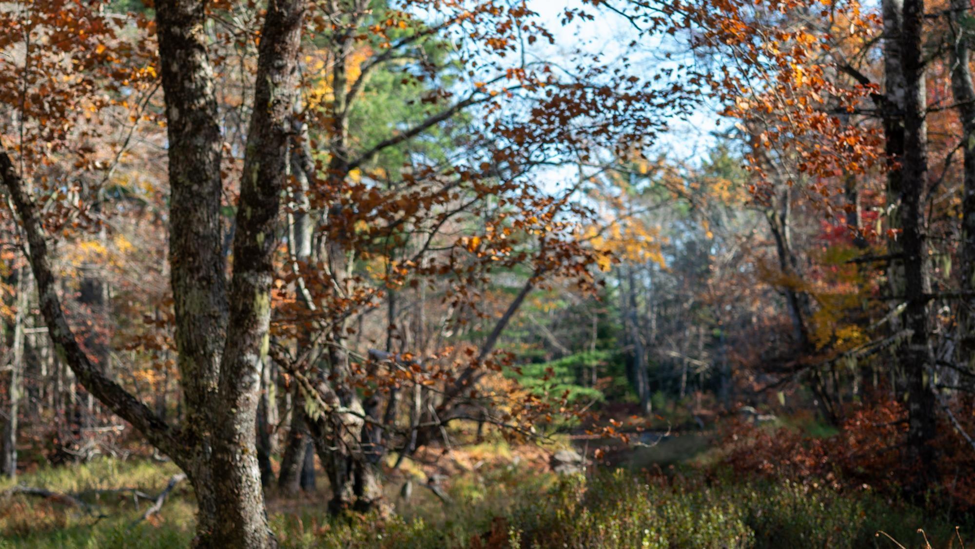 $79,000.00: Lot BR-3 Bowers Road, Lower Ohio