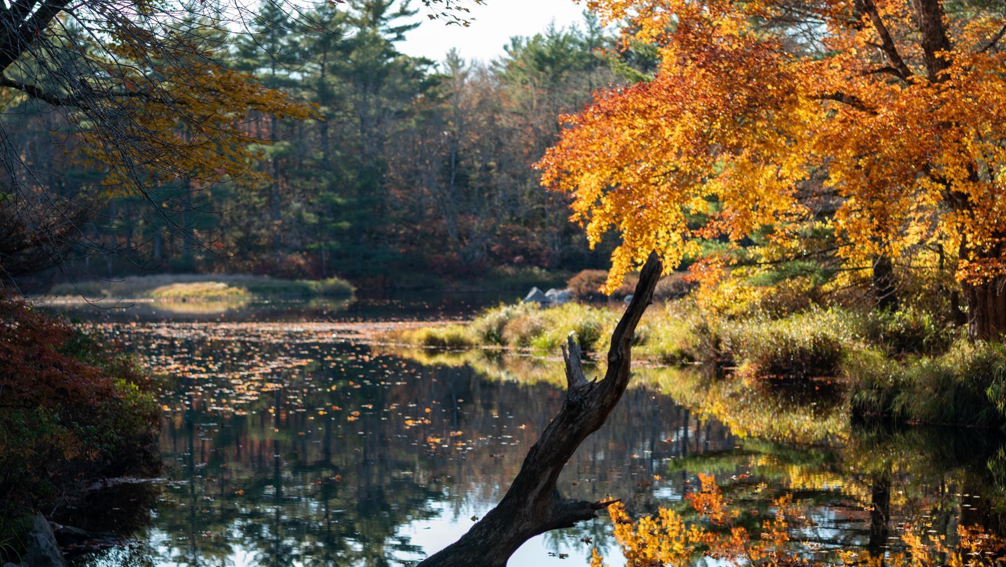 $79,000.00: LOT BR-4 Bower Road, Lower Ohio