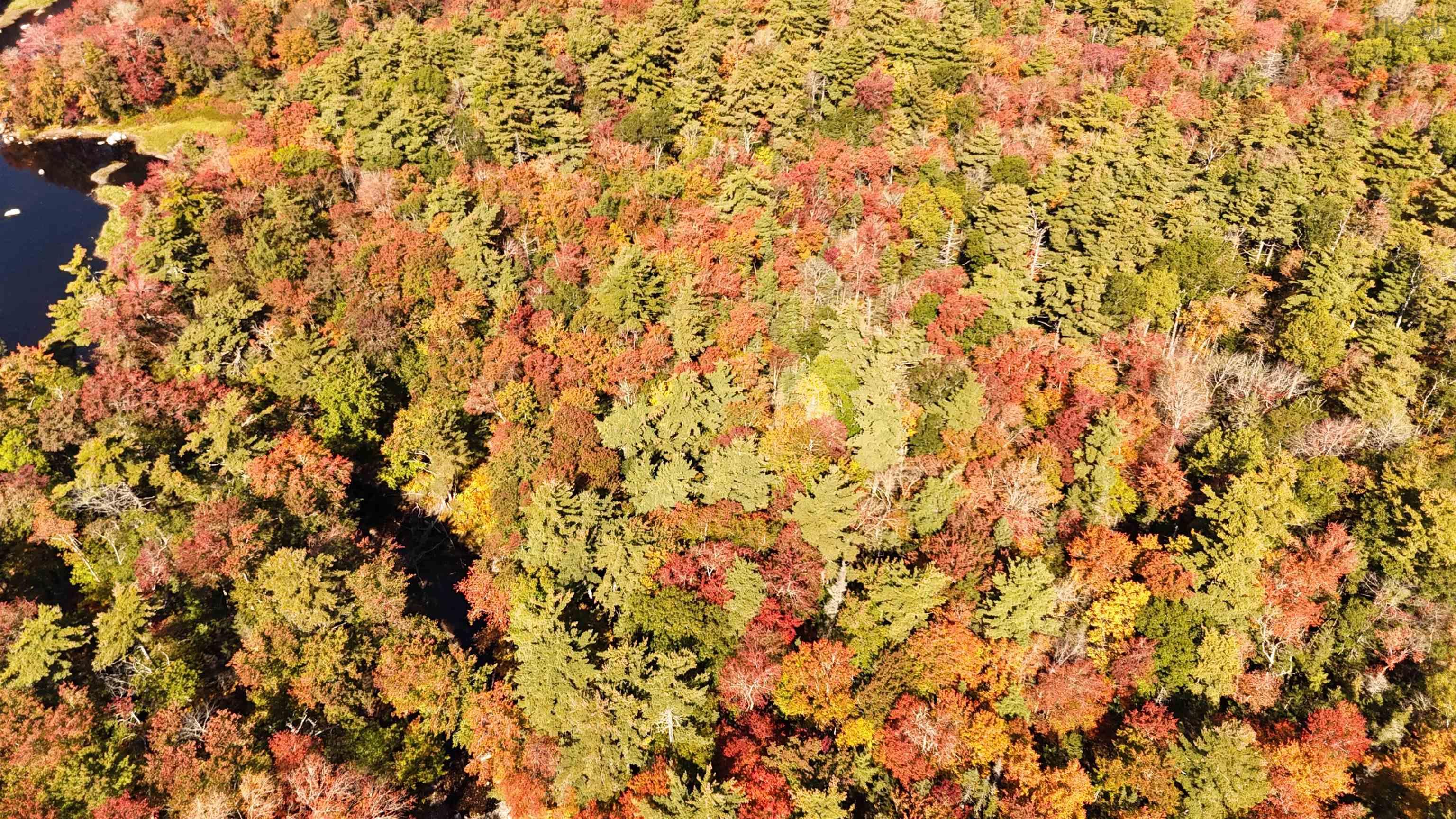 $79,000.00: LOT BR-4 Bower Road, Lower Ohio