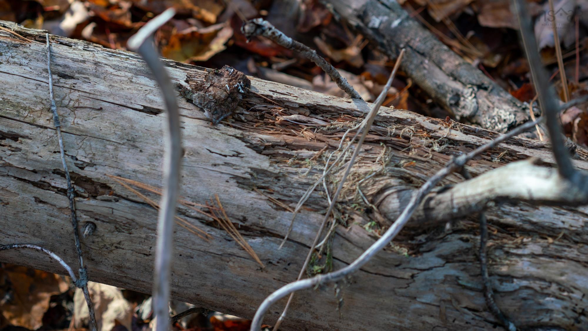 $79,000.00: LOT BR-4 Bower Road, Lower Ohio