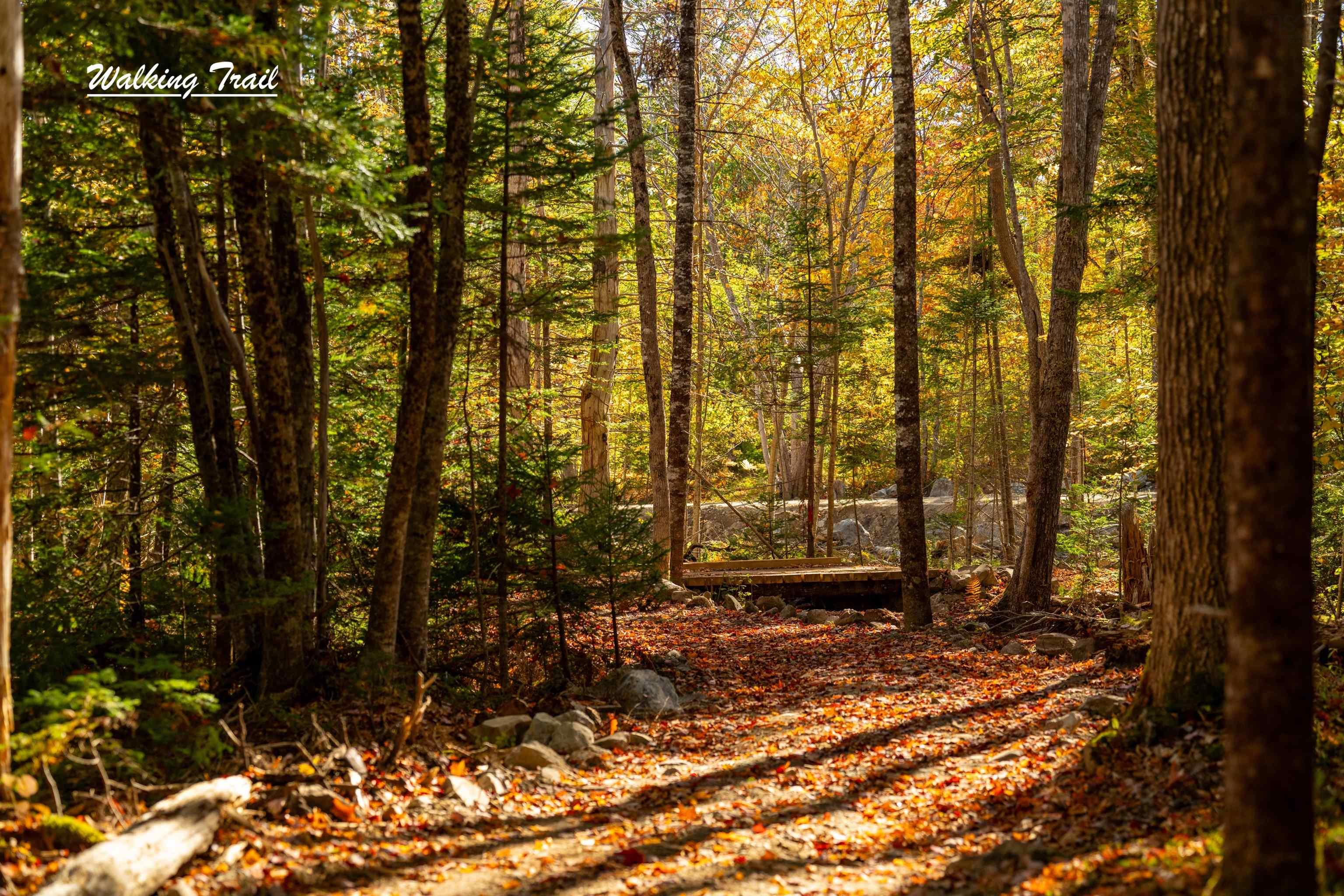 $88,000.00: Lot 12 Croft Road, Chester Basin