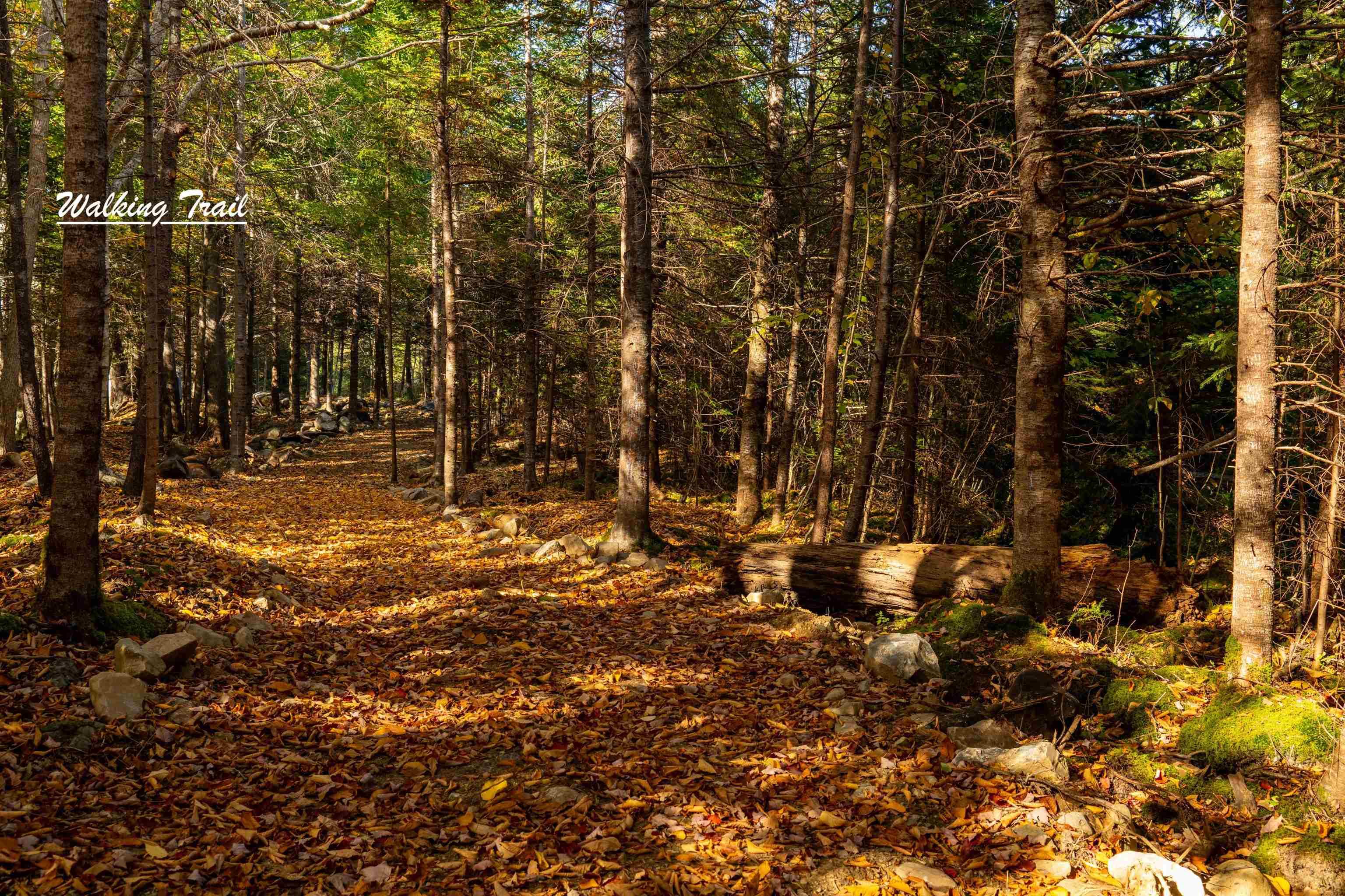 $88,000.00: Lot 12 Croft Road, Chester Basin