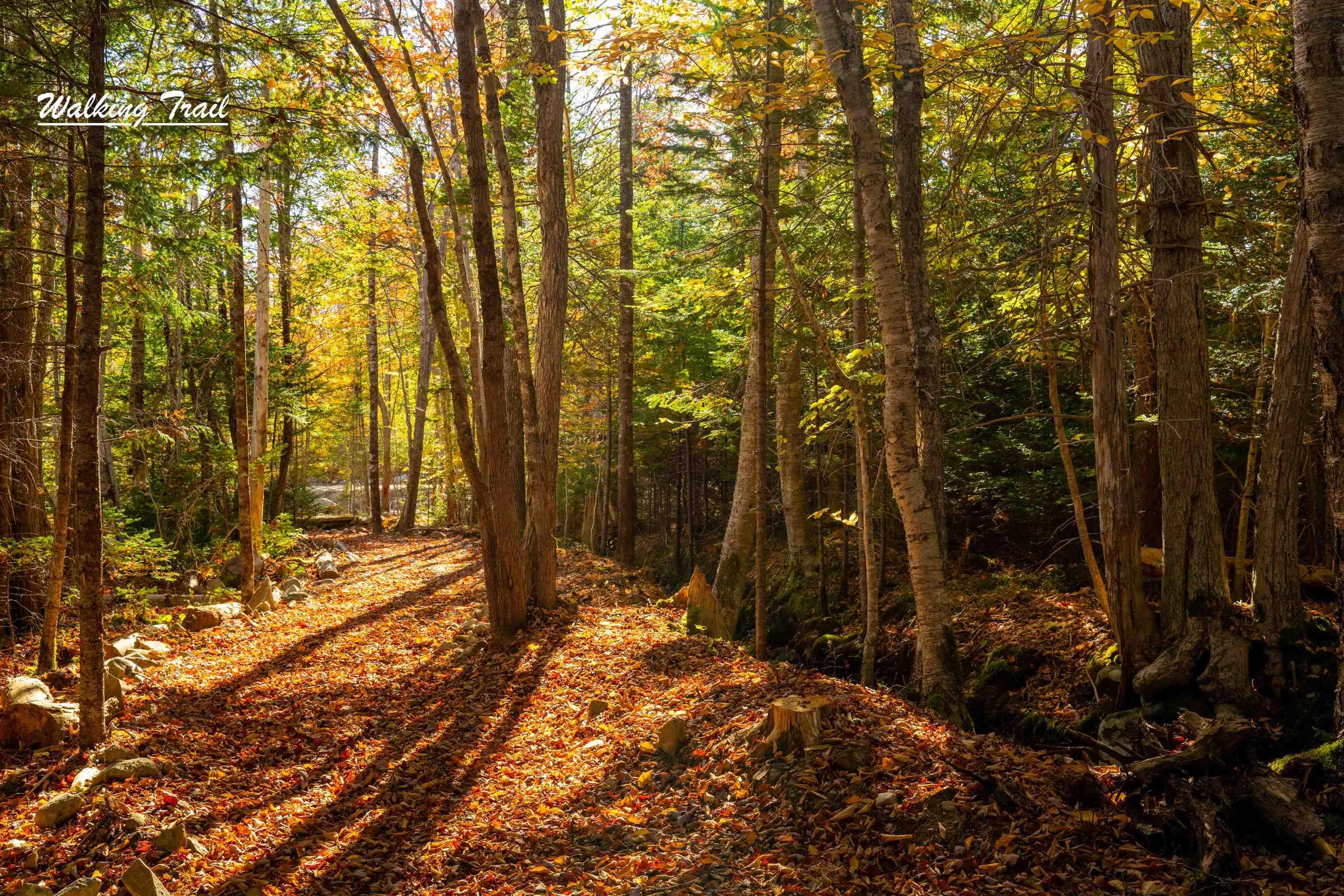 $88,000.00: Lot 12 Croft Road, Chester Basin