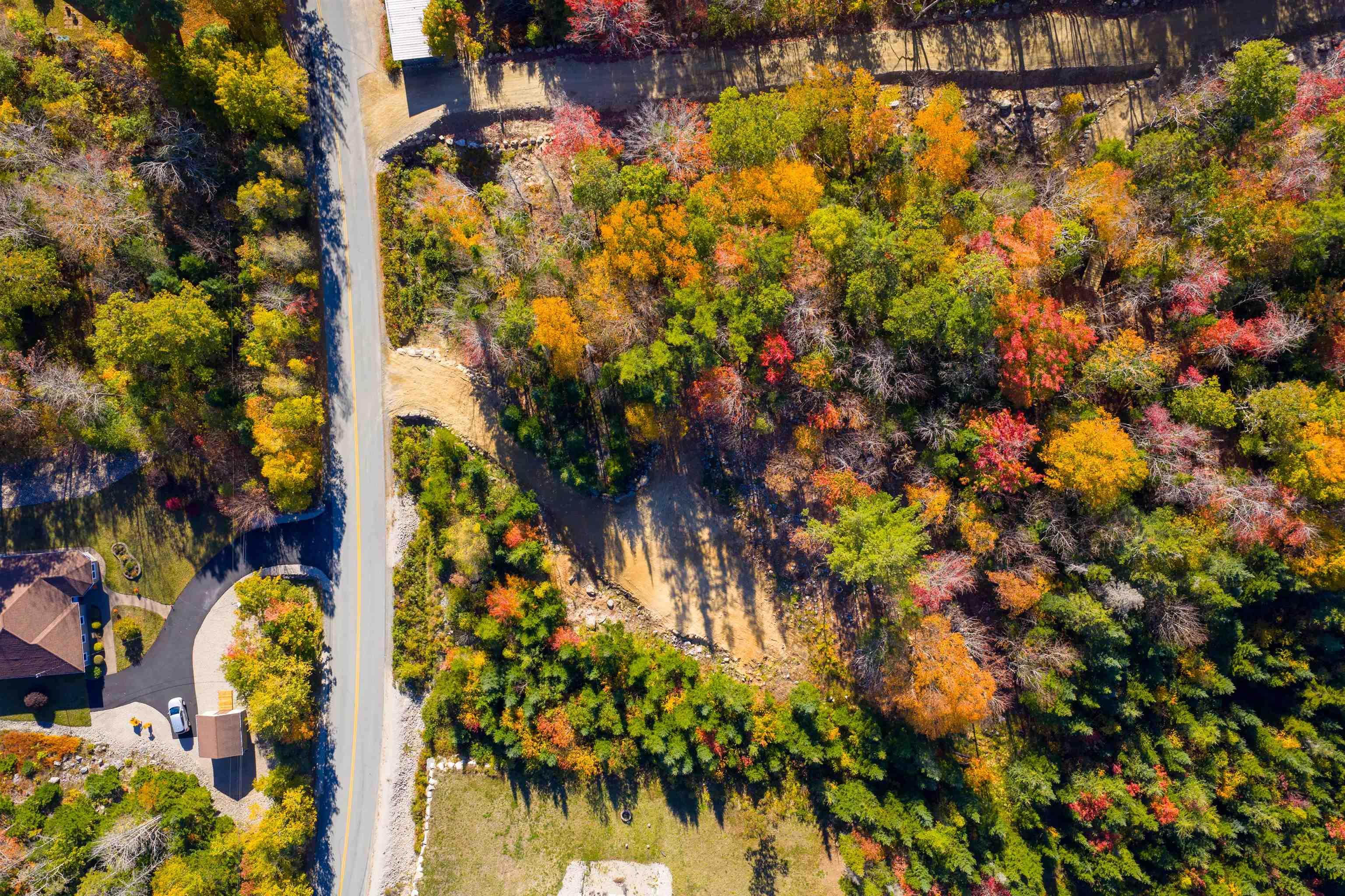 $88,000.00: Lot 12 Croft Road, Chester Basin